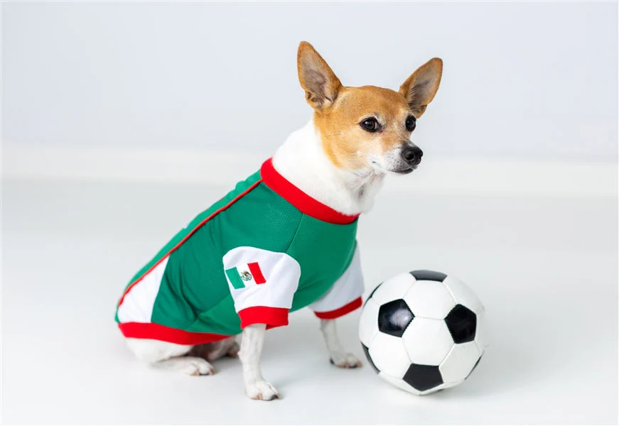 Parisian Pet 'Team Mexico' Dog & Cat T-Shirt – Patriotic Dog Shirt, Perfect for Soccer Fans – Red, White, Green - Image 5