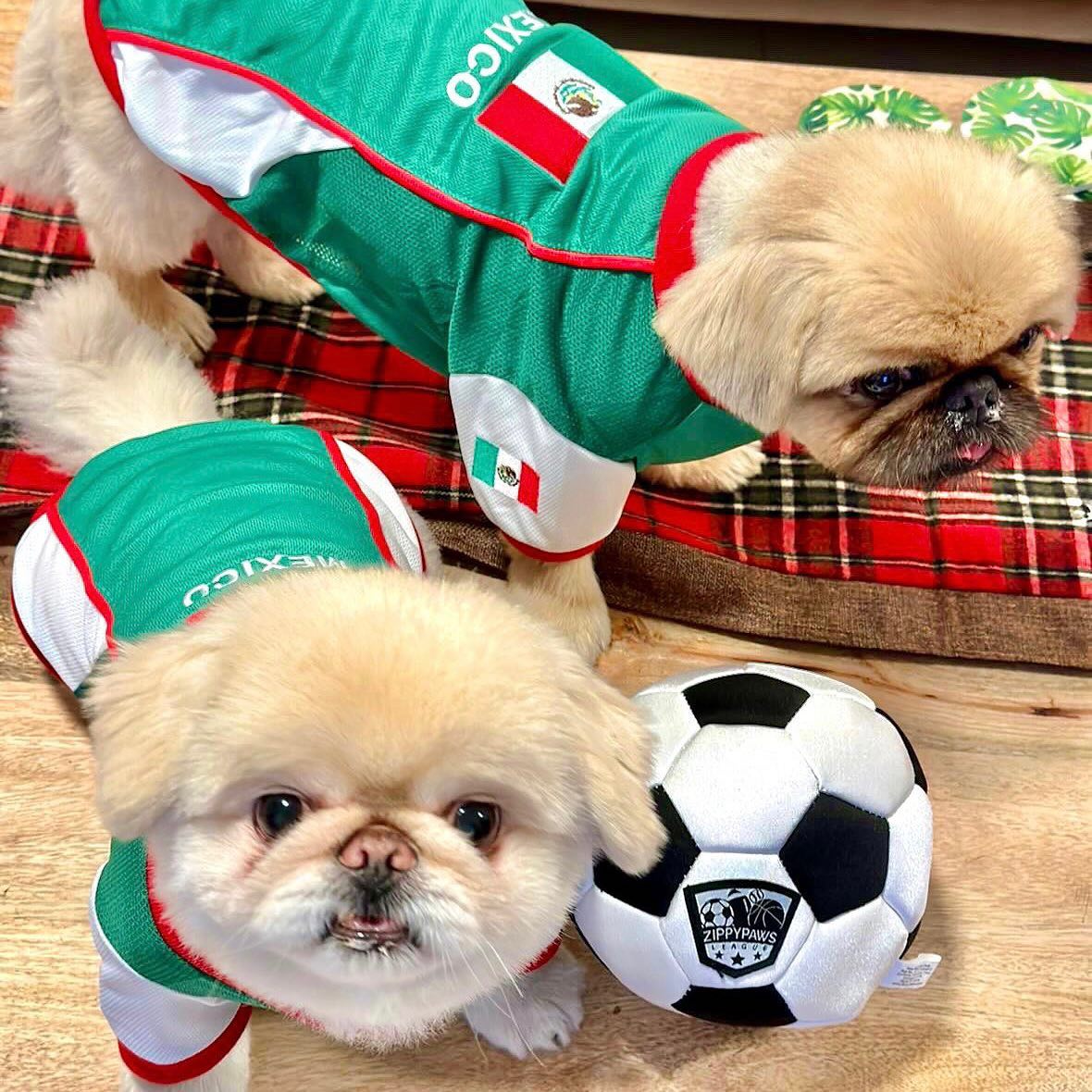 Parisian Pet 'Team Mexico' Dog & Cat T-Shirt – Patriotic Dog Shirt, Perfect for Soccer Fans – Red, White, Green - Image 7