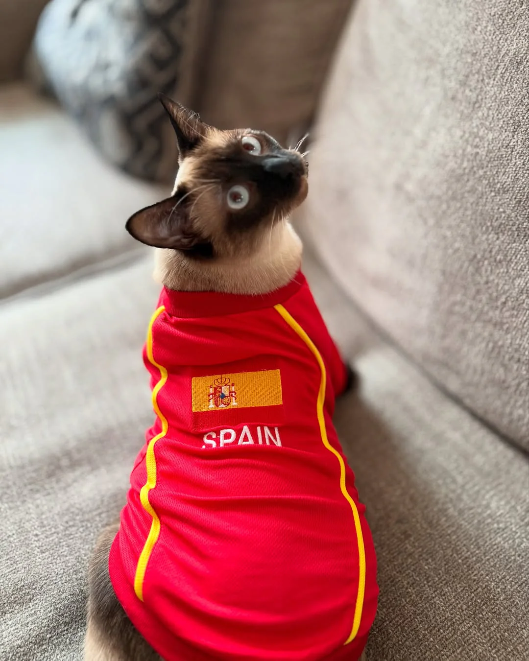 Parisian Pet 'Team Spain' Jersey for Dogs & Cats – Spain Flag-Inspired Pet Outfit, Soccer Fan Apparel for Dogs & Cats, Red and Yellow Stripes - Image 5