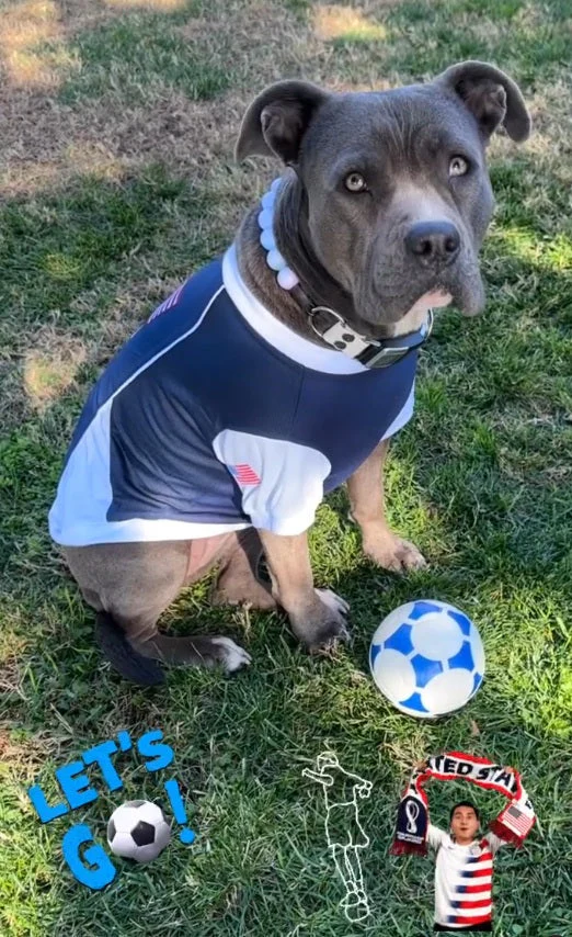 Parisian Pet 'Team USA' Dog & Cat Shirt – Embroidered USA Jersey, Perfect for Sports and Vacations – Red, White, and Blue - Image 11