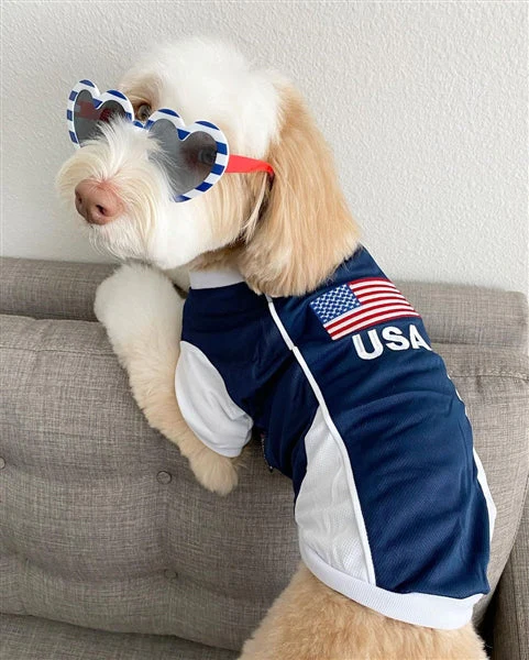Parisian Pet 'Team USA' Dog & Cat Shirt – Embroidered USA Jersey, Perfect for Sports and Vacations – Red, White, and Blue - Image 3