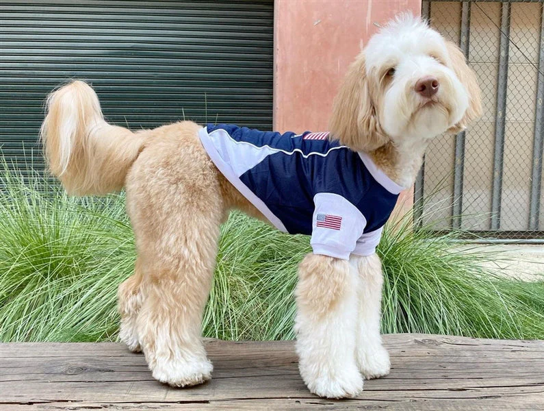Parisian Pet 'Team USA' Dog & Cat Shirt – Embroidered USA Jersey, Perfect for Sports and Vacations – Red, White, and Blue - Image 4