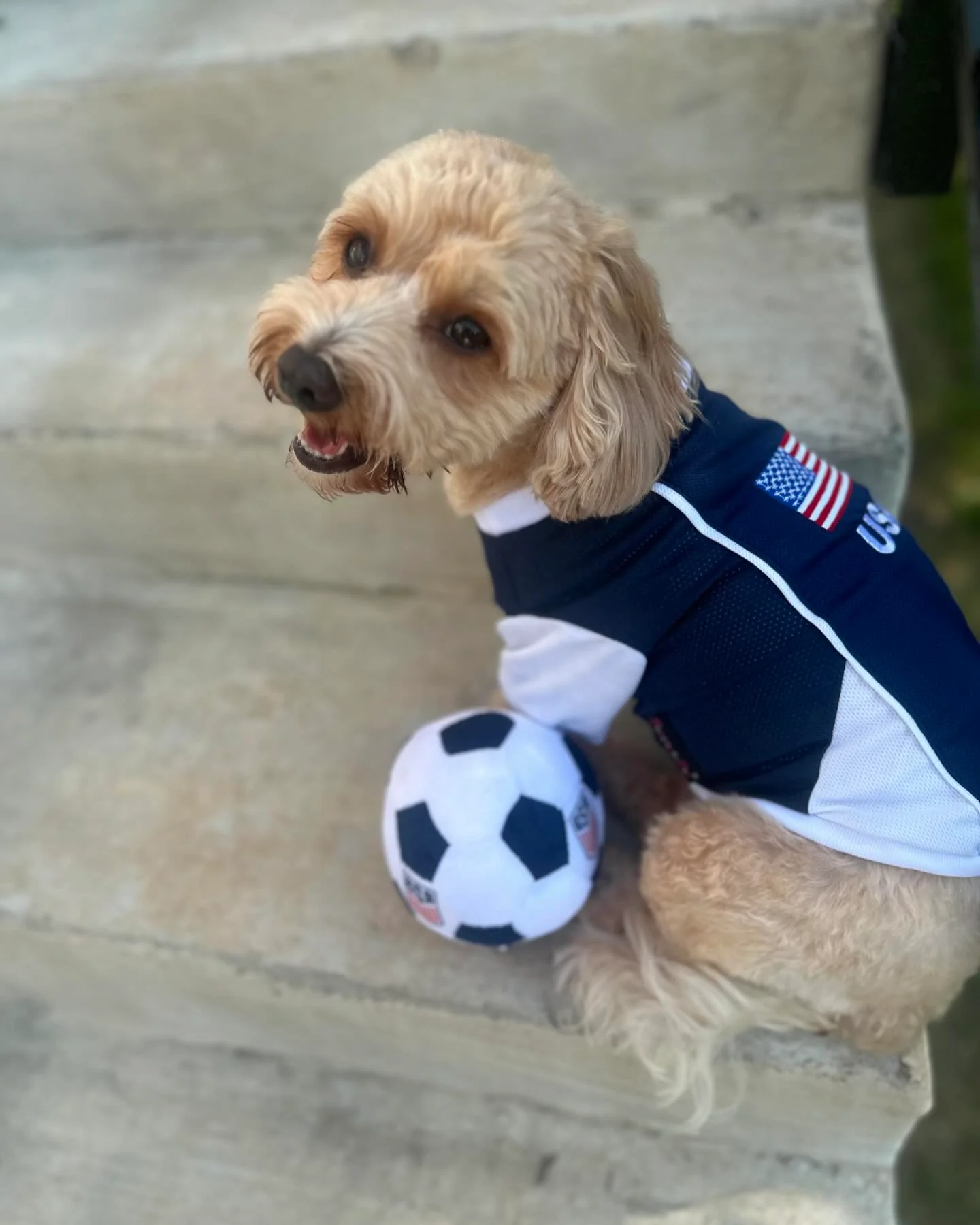 Parisian Pet 'Team USA' Dog & Cat Shirt – Embroidered USA Jersey, Perfect for Sports and Vacations – Red, White, and Blue - Image 8