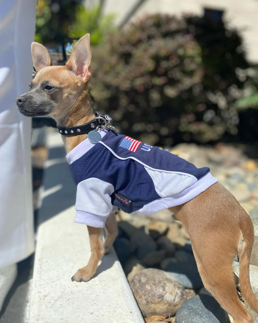 Parisian Pet 'Team USA' Dog & Cat Shirt – Embroidered USA Jersey, Perfect for Sports and Vacations – Red, White, and Blue - Image 9