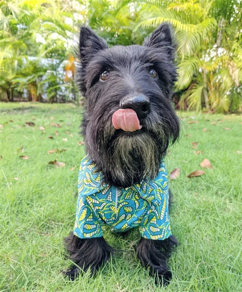Parisian Pet 'Tribal' Dog & Cat T-Shirt – Lightweight Cotton, Stylish & Comfortable Summer Apparel - Saint Patrick's Day - Image 3