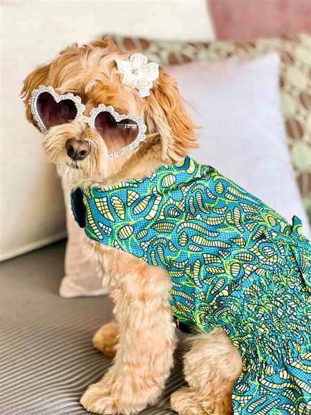 Parisian Pet 'Tribal Dress' for Dogs and Cats, Ruched Waist, Stylish and Comfortable, Tribal Print - Green, Blue, Yellow - Image 4