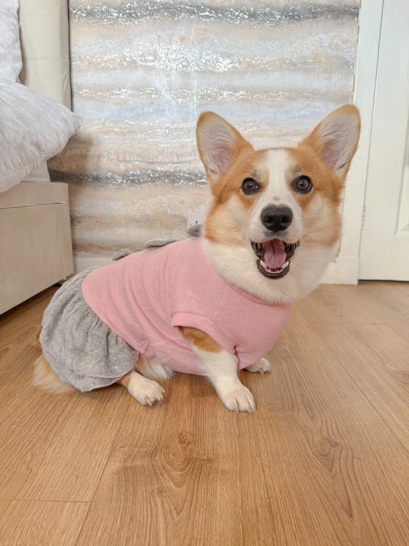 Parisian Pet 'Winter Bows Dress' Dog & Cat Shirt – Elegant Holiday Pet Dress – Pink & Grey-Valentine's Day - Image 3