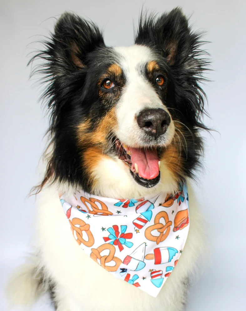 Patriotic Summer Dog Bandana - Image 3