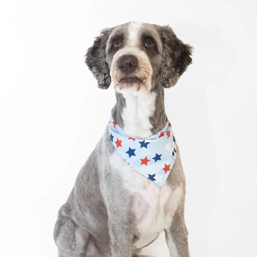 Patriotic Summer Dog Bandana - Image 4