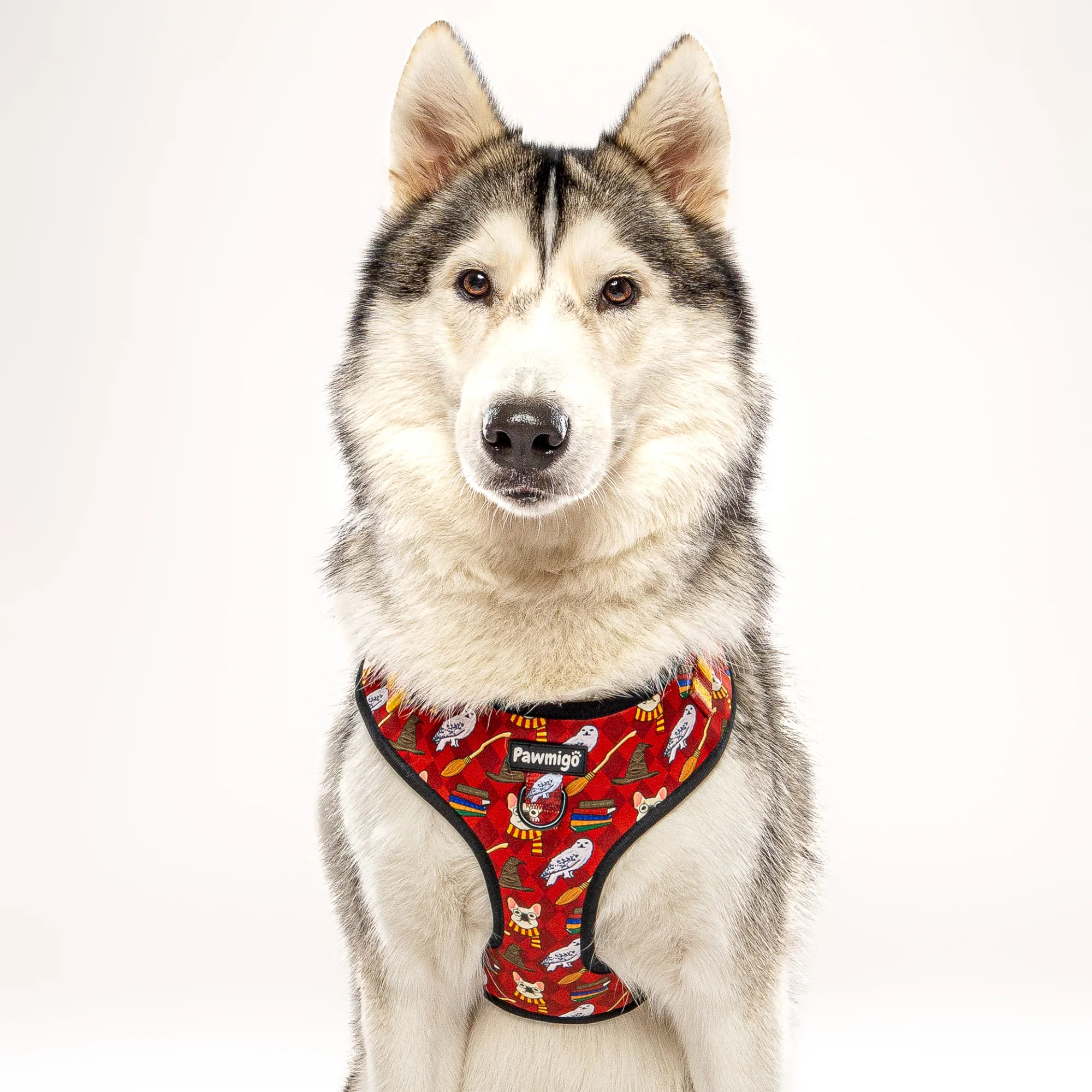 Pawgwarts Everyday Adjustable No-Pull Dog Harness - Image 12