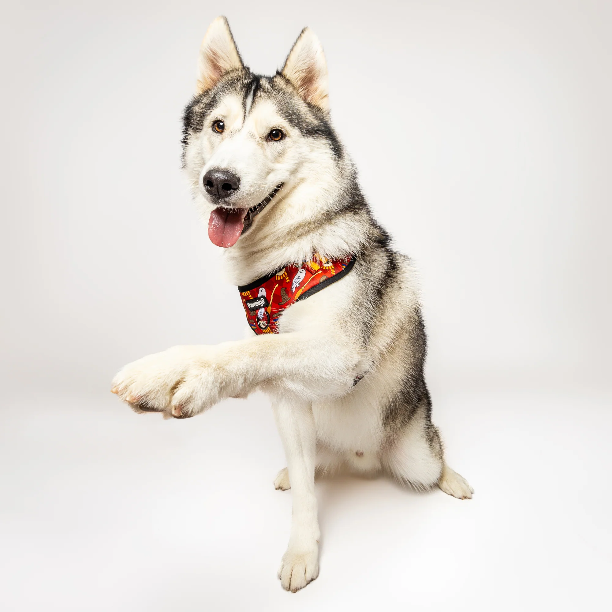 Pawgwarts Everyday Adjustable No-Pull Dog Harness - Image 6