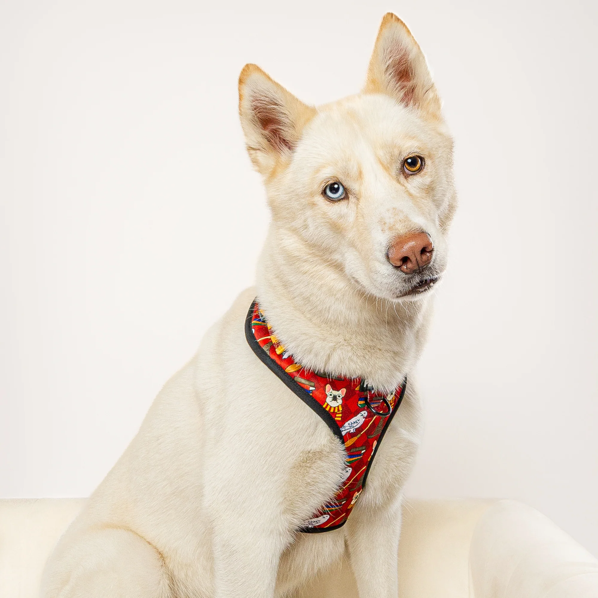 Pawgwarts Everyday Adjustable No-Pull Dog Harness - Image 7