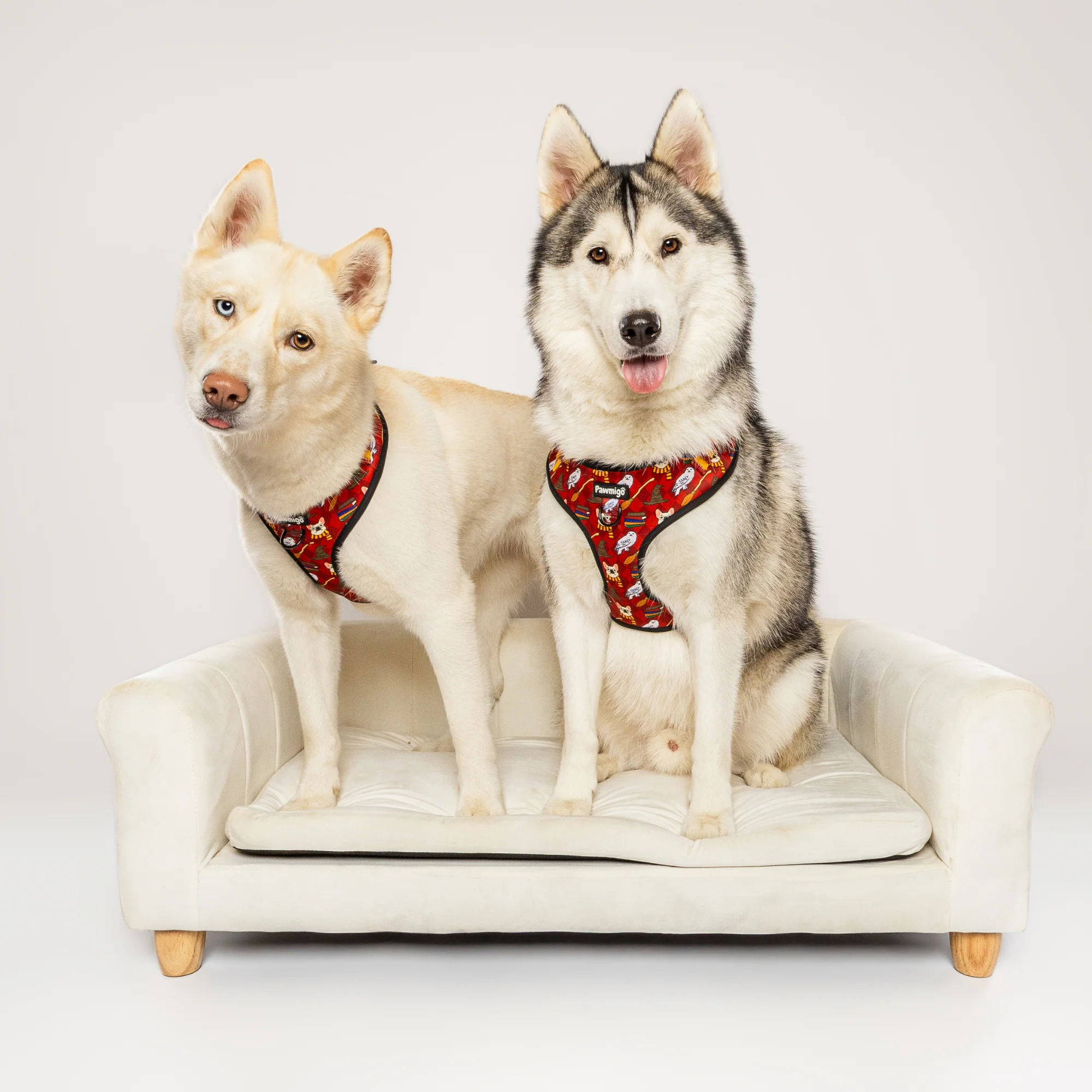 Pawgwarts Everyday Adjustable No-Pull Dog Harness - Image 8