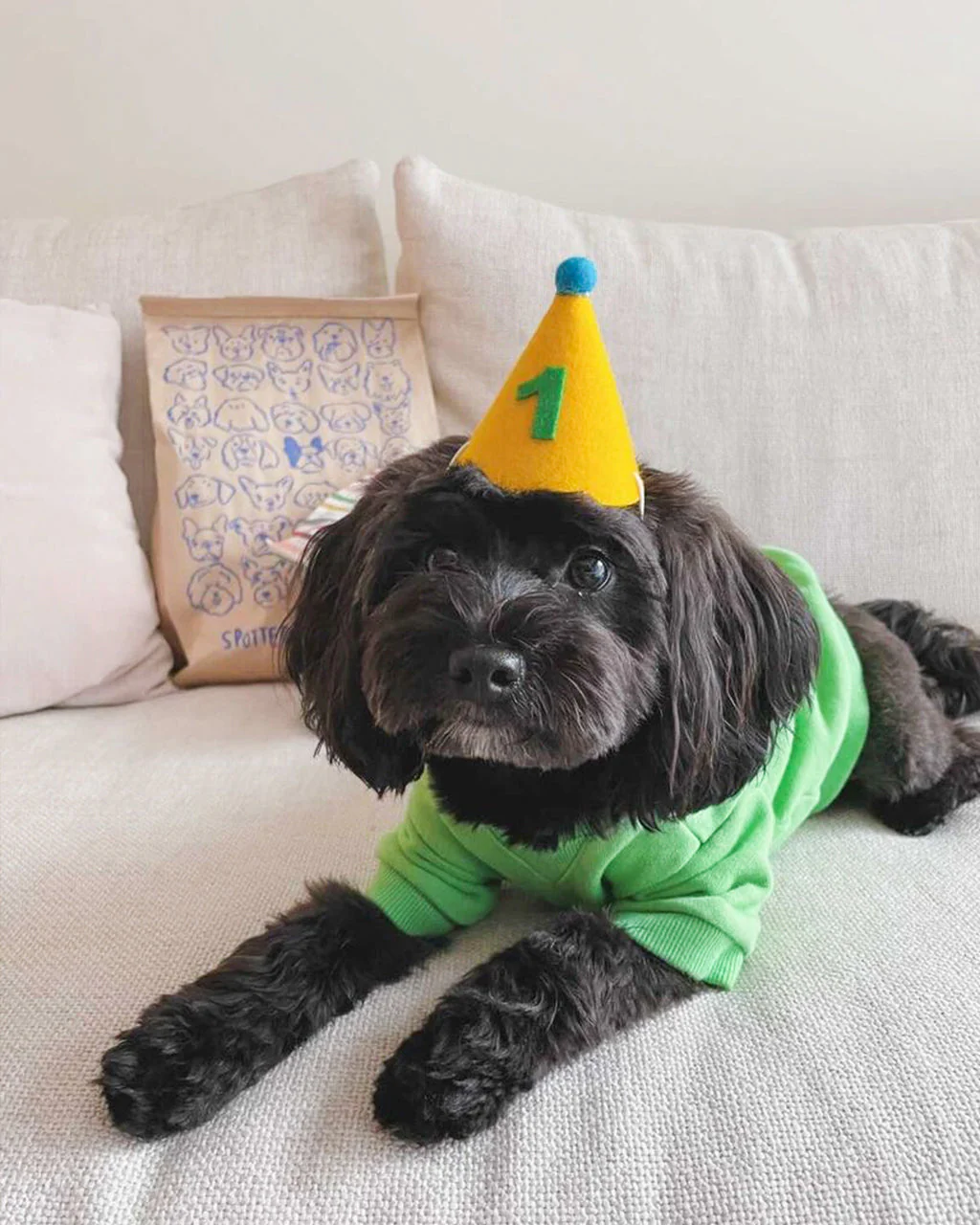 PAWTY HAT - Green number - Image 2