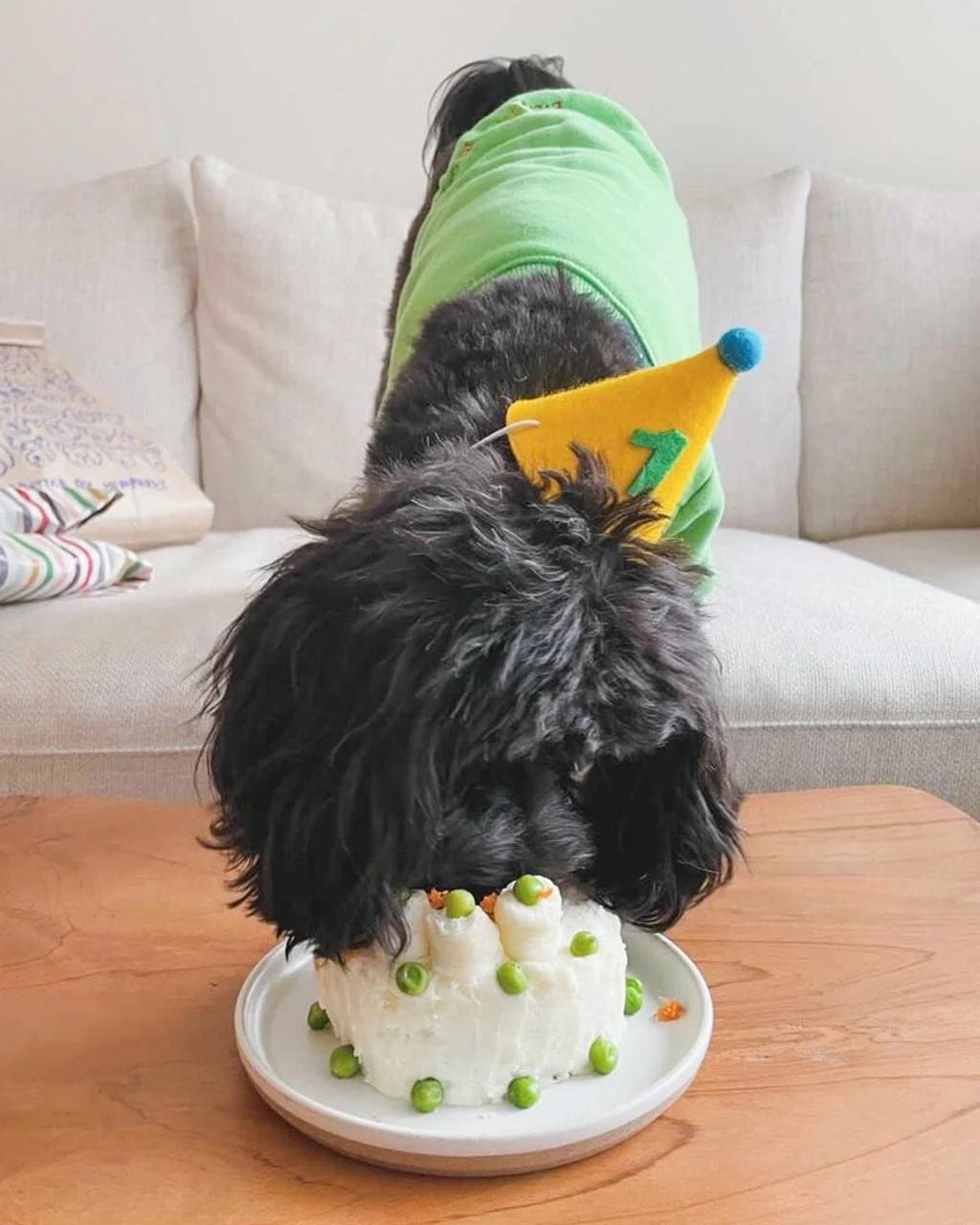 PAWTY HAT - Green number - Image 3