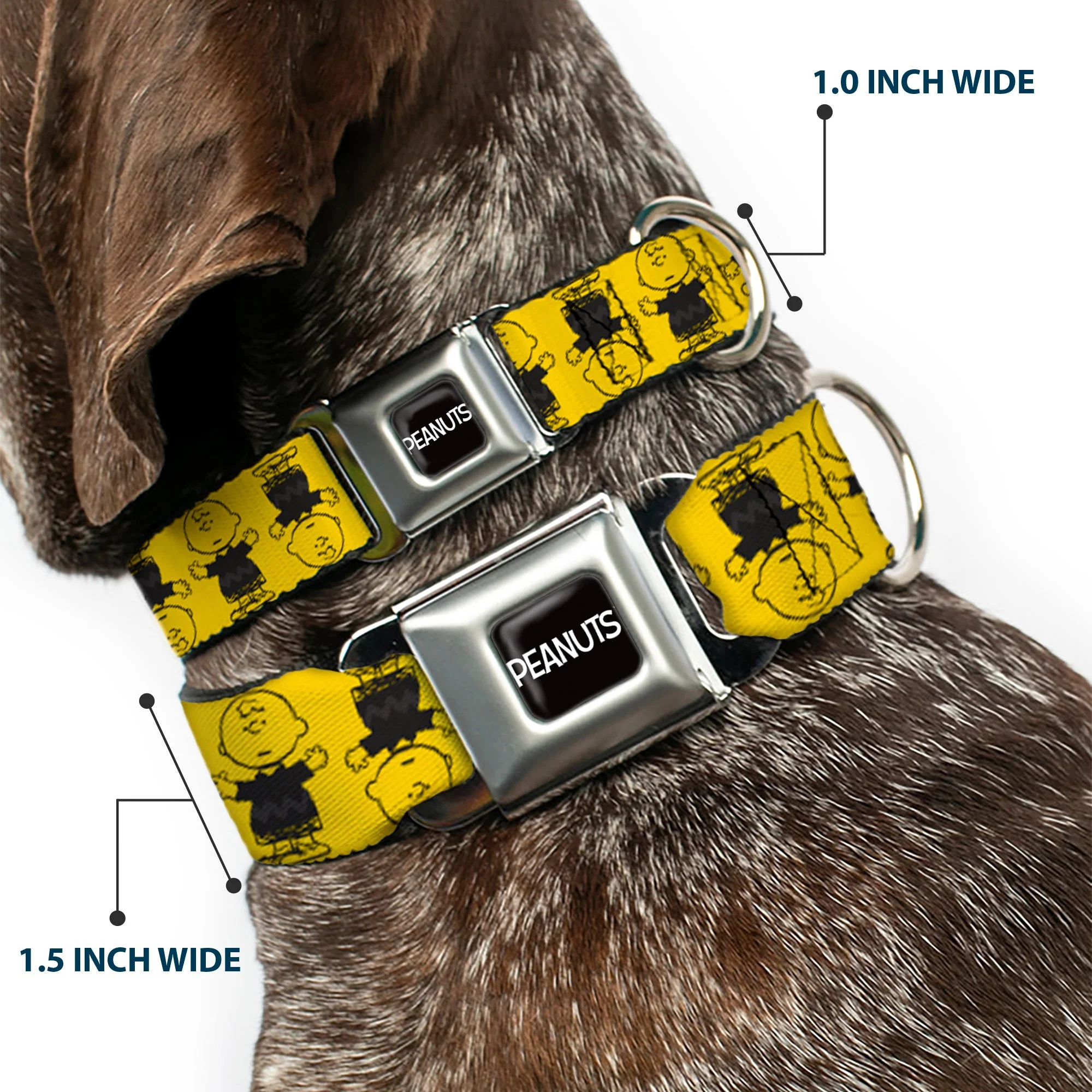 PEANUTS Title Logo Full Color Black/White Seatbelt Buckle Collar - Peanuts Charlie Brown Pose Flip Yellow/Black - Image 2