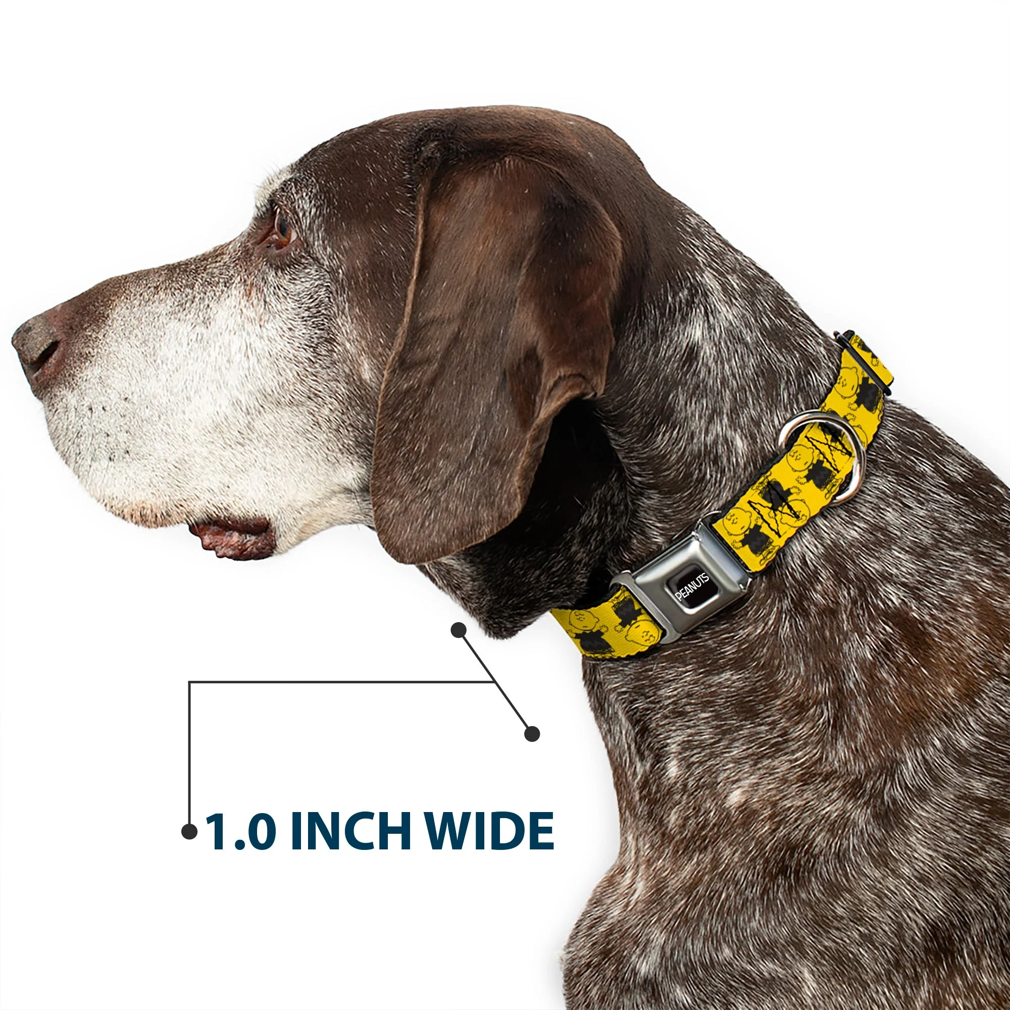 PEANUTS Title Logo Full Color Black/White Seatbelt Buckle Collar - Peanuts Charlie Brown Pose Flip Yellow/Black - Image 6