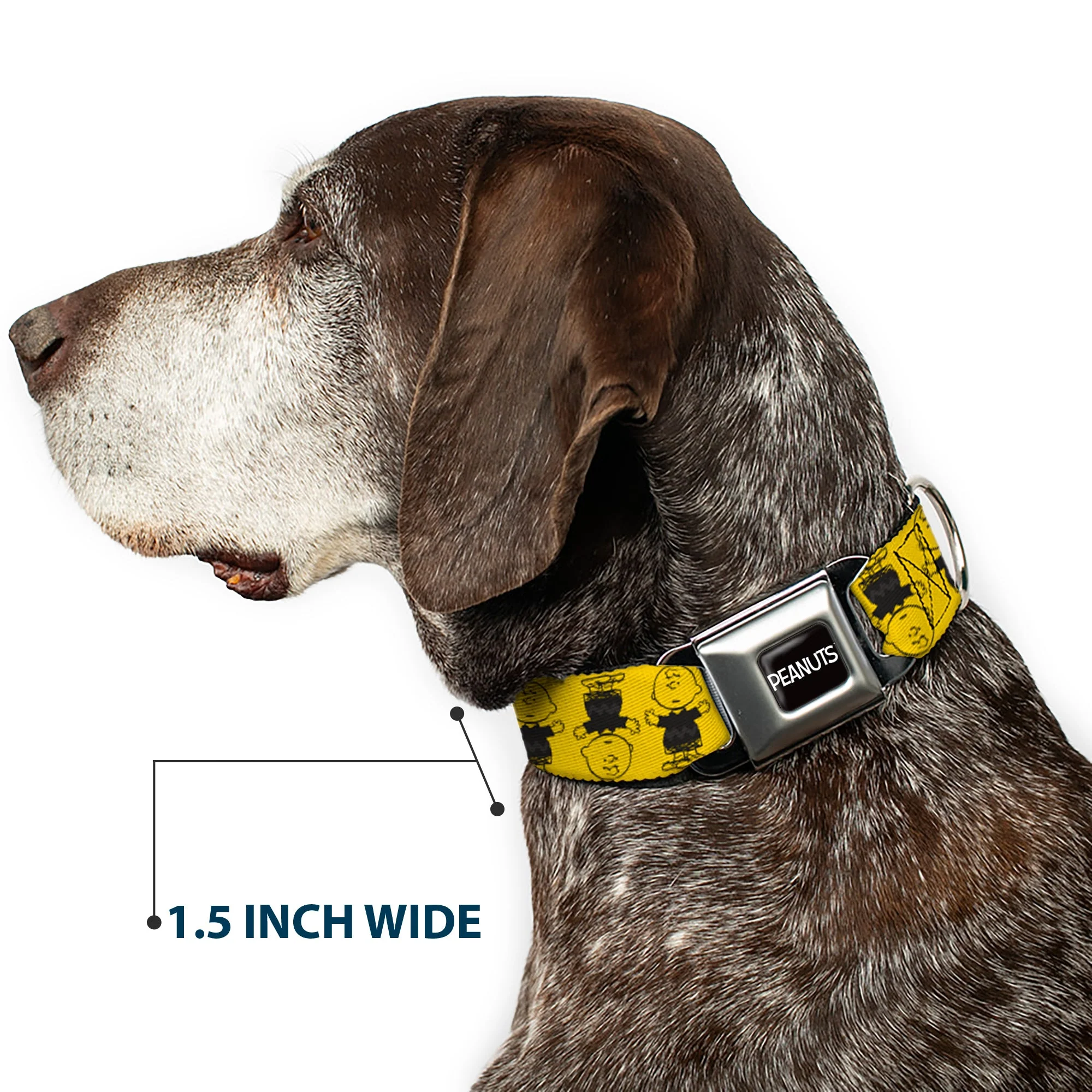 PEANUTS Title Logo Full Color Black/White Seatbelt Buckle Collar - Peanuts Charlie Brown Pose Flip Yellow/Black - Image 7