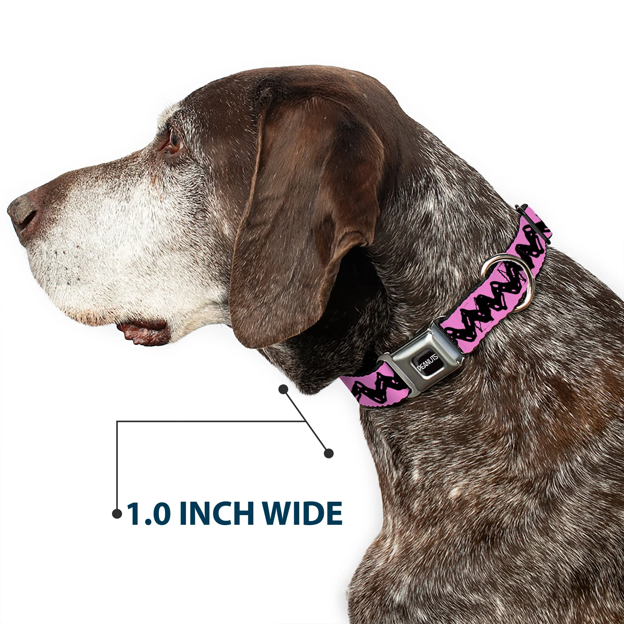 PEANUTS Title Logo Full Color Black/White Seatbelt Buckle Collar - Peanuts Charlie Brown Zig Zag Stripe Pink/Black - Image 6