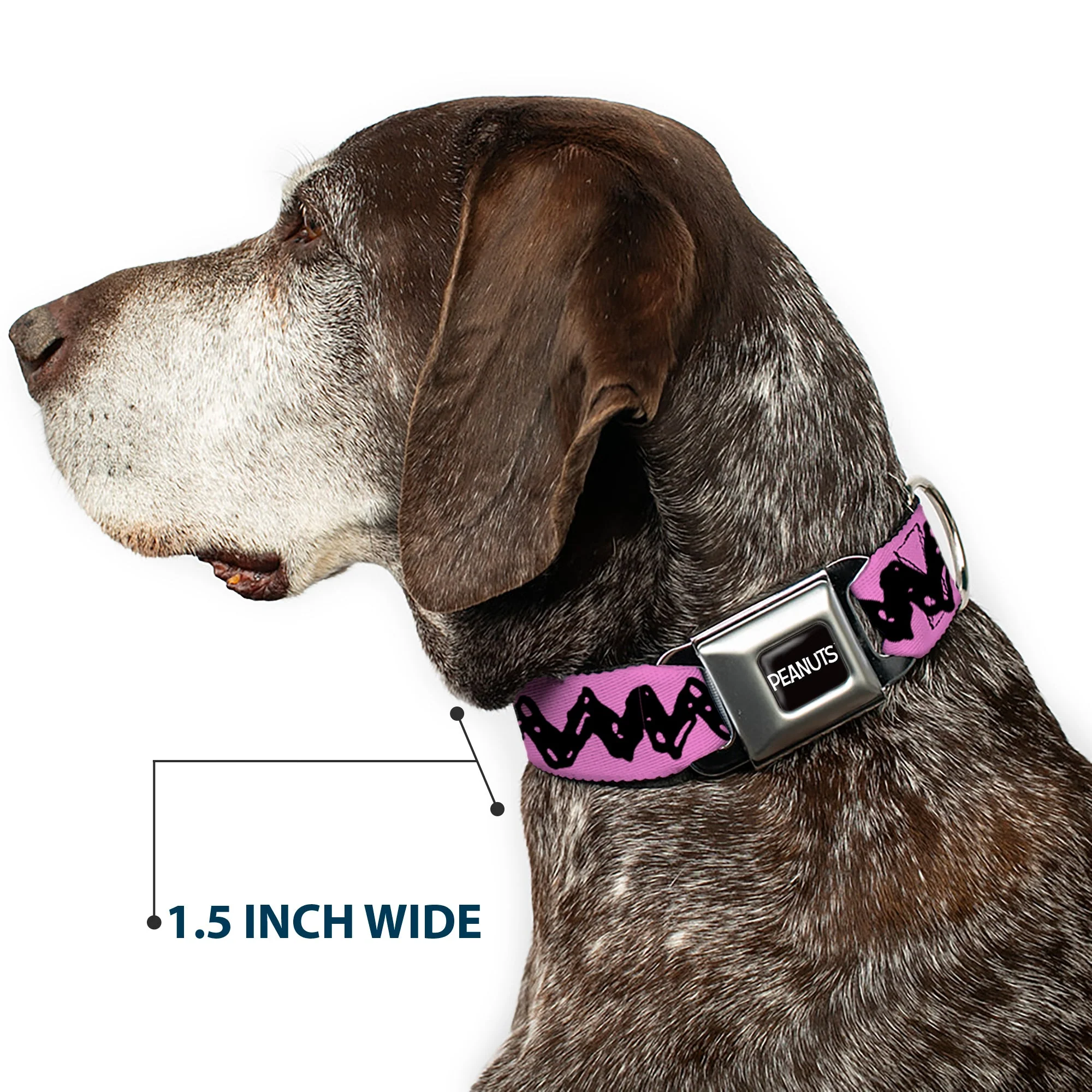 PEANUTS Title Logo Full Color Black/White Seatbelt Buckle Collar - Peanuts Charlie Brown Zig Zag Stripe Pink/Black - Image 7