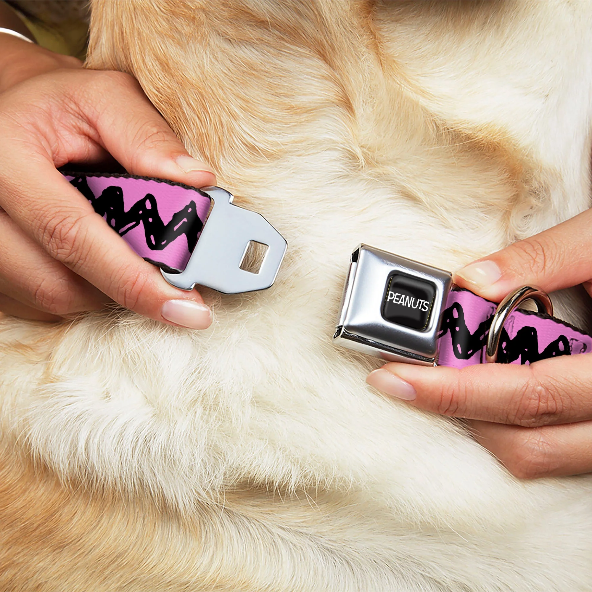 PEANUTS Title Logo Full Color Black/White Seatbelt Buckle Collar - Peanuts Charlie Brown Zig Zag Stripe Pink/Black - Image 8