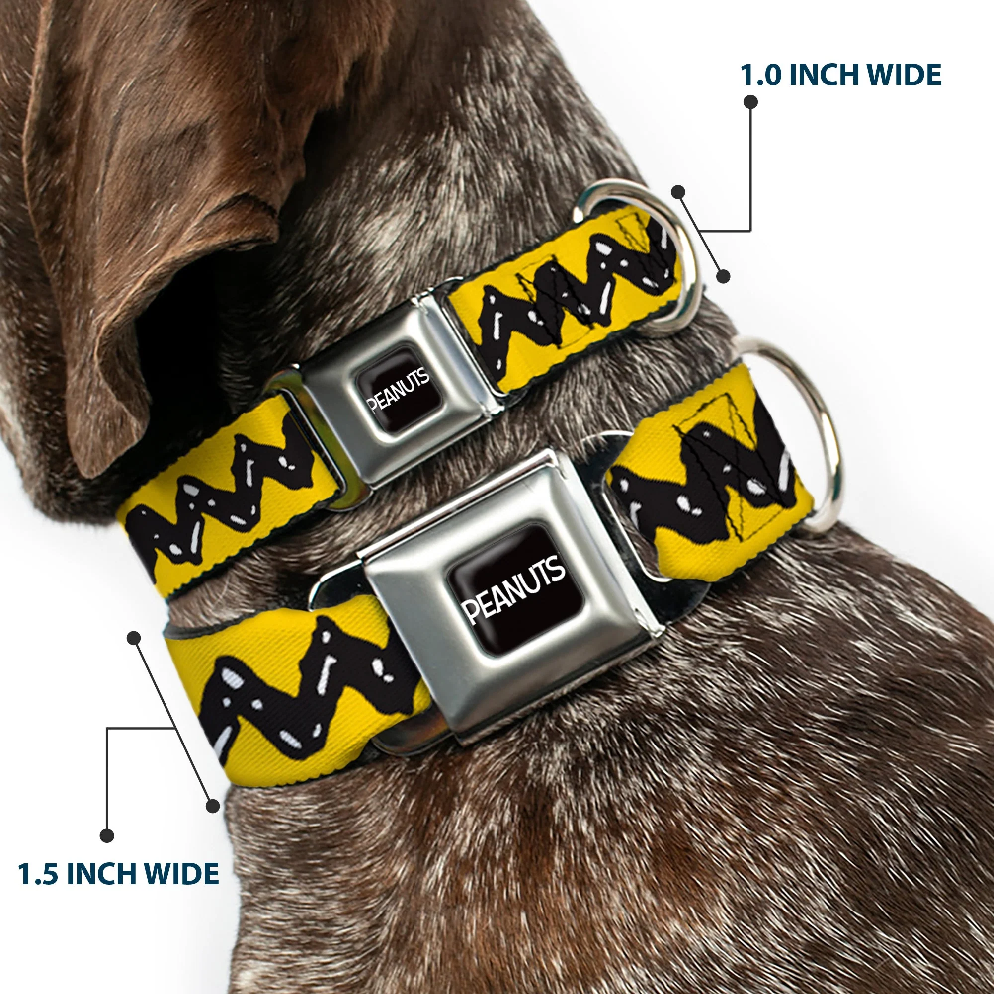 PEANUTS Title Logo Full Color Black/White Seatbelt Buckle Collar - Peanuts Charlie Brown Zig Zag Stripe Yellow/Black - Image 2