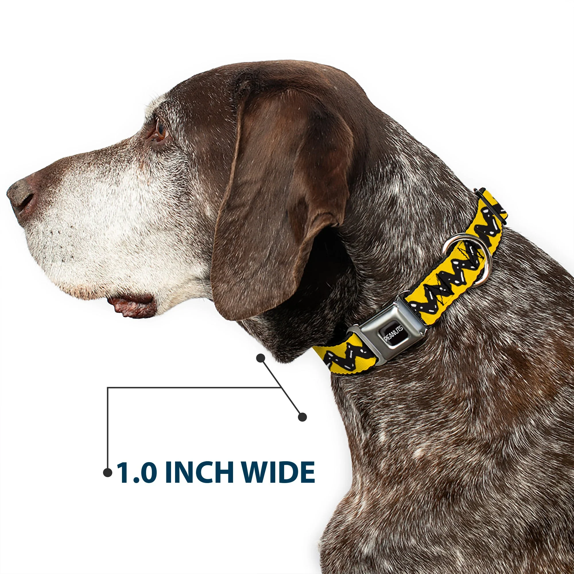 PEANUTS Title Logo Full Color Black/White Seatbelt Buckle Collar - Peanuts Charlie Brown Zig Zag Stripe Yellow/Black - Image 6