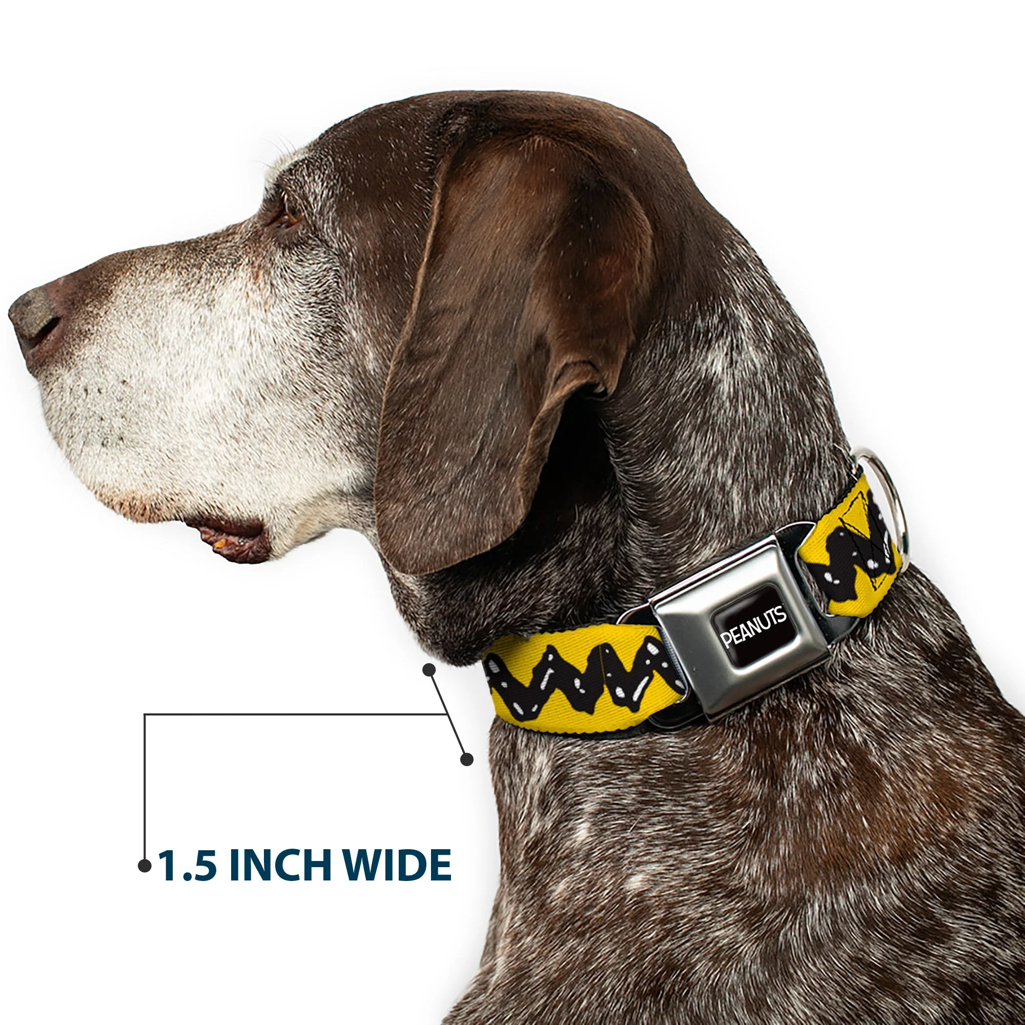 PEANUTS Title Logo Full Color Black/White Seatbelt Buckle Collar - Peanuts Charlie Brown Zig Zag Stripe Yellow/Black - Image 7