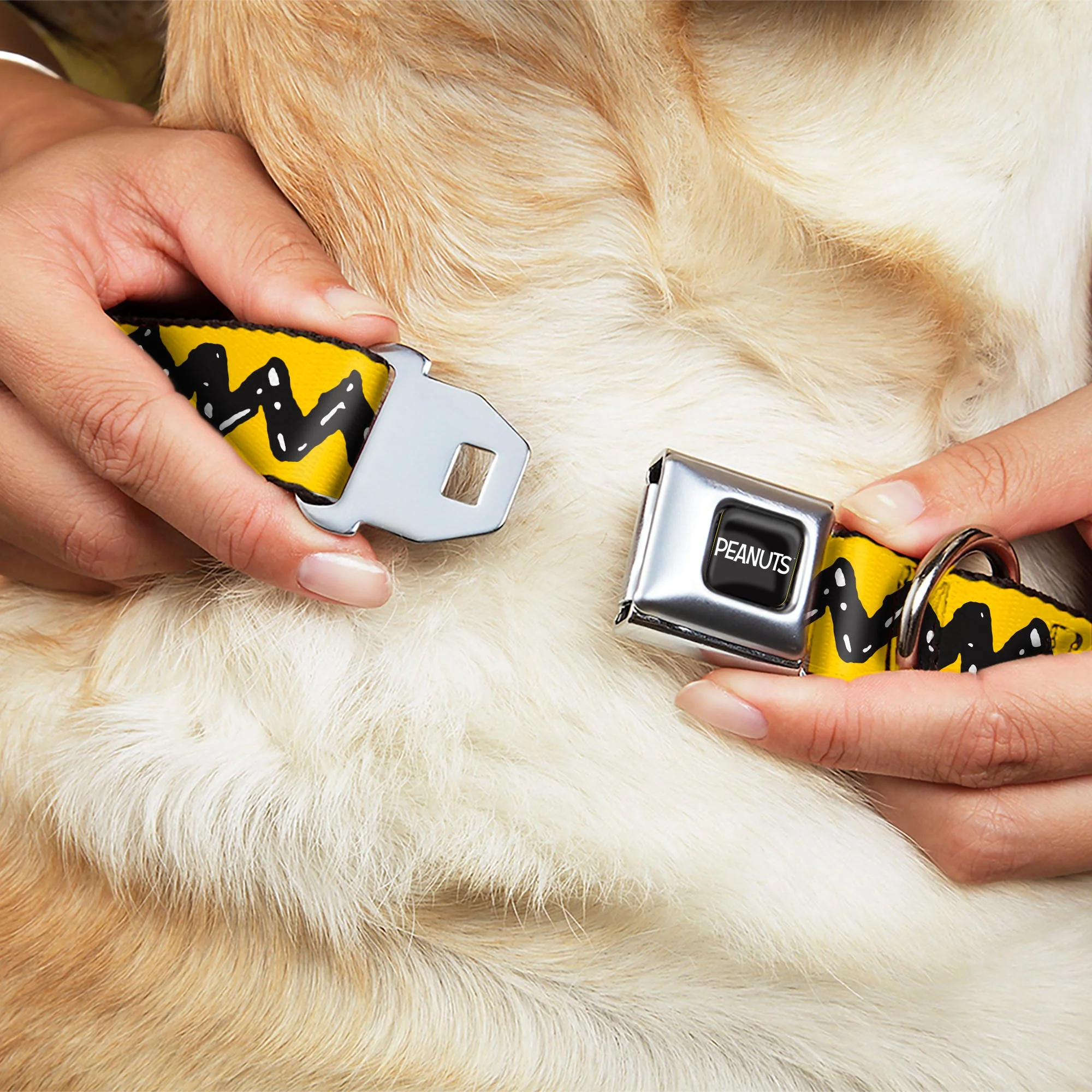 PEANUTS Title Logo Full Color Black/White Seatbelt Buckle Collar - Peanuts Charlie Brown Zig Zag Stripe Yellow/Black - Image 8