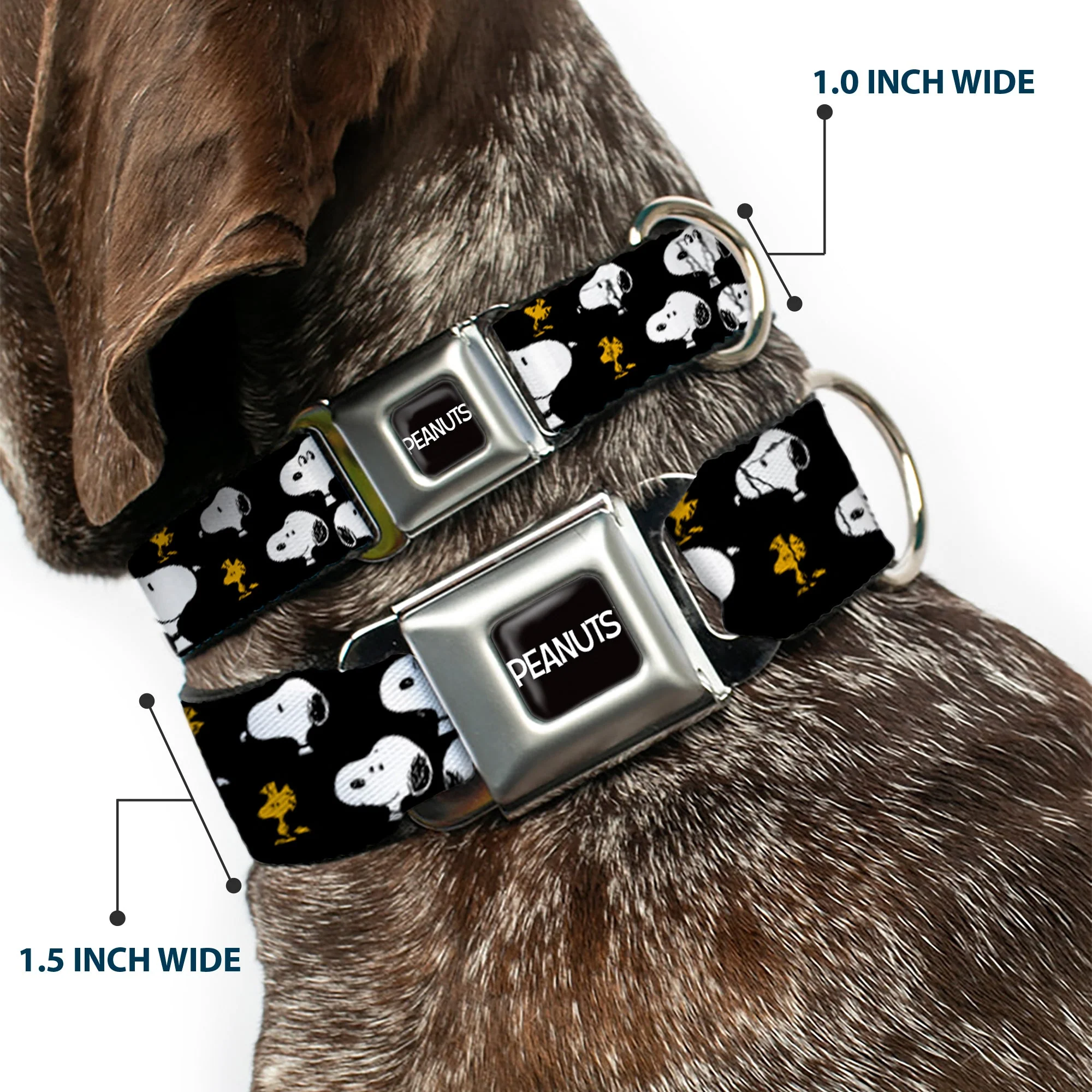 PEANUTS Title Logo Full Color Black/White Seatbelt Buckle Collar - Peanuts Snoopy and Woodstock Poses Scattered Black - Image 2