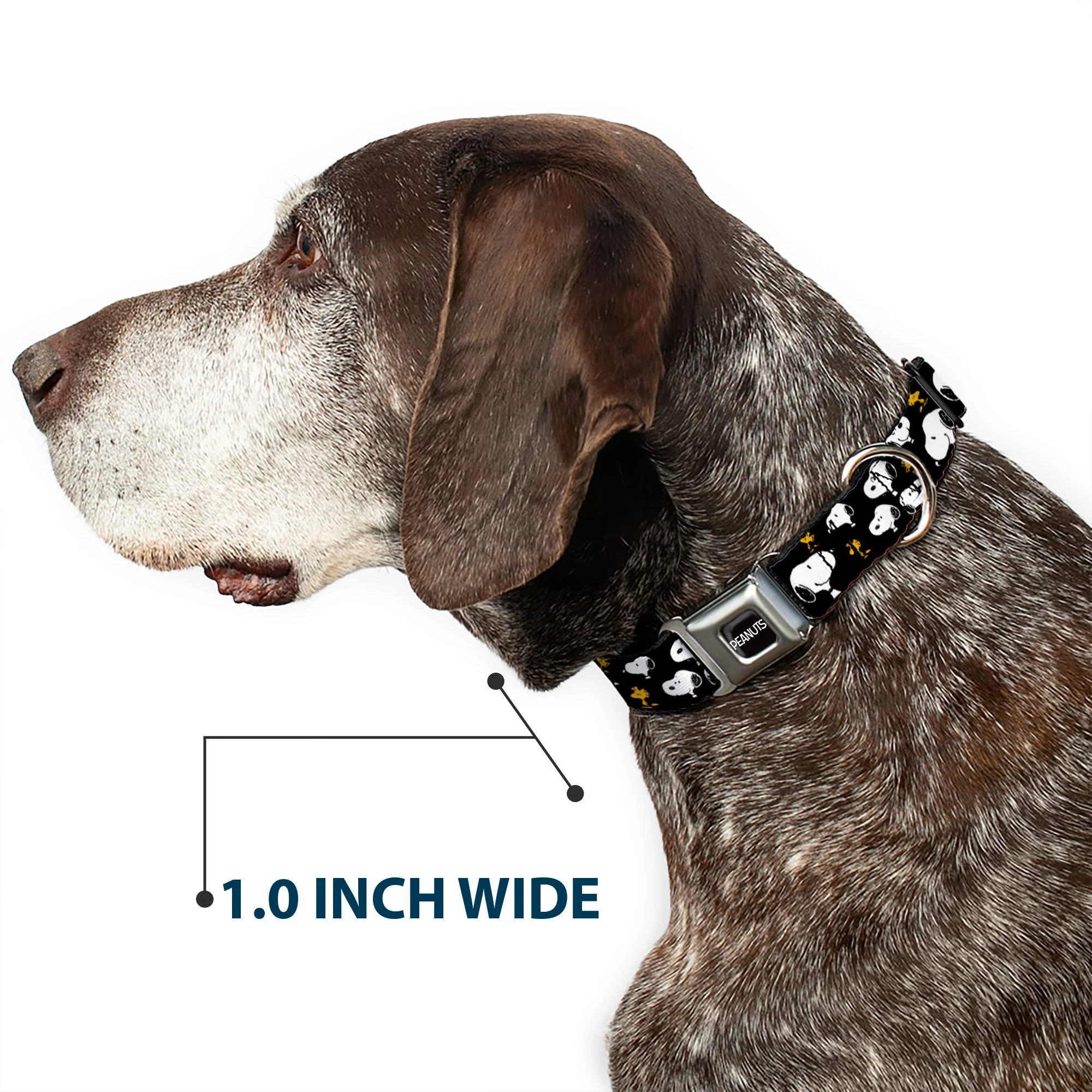PEANUTS Title Logo Full Color Black/White Seatbelt Buckle Collar - Peanuts Snoopy and Woodstock Poses Scattered Black - Image 6