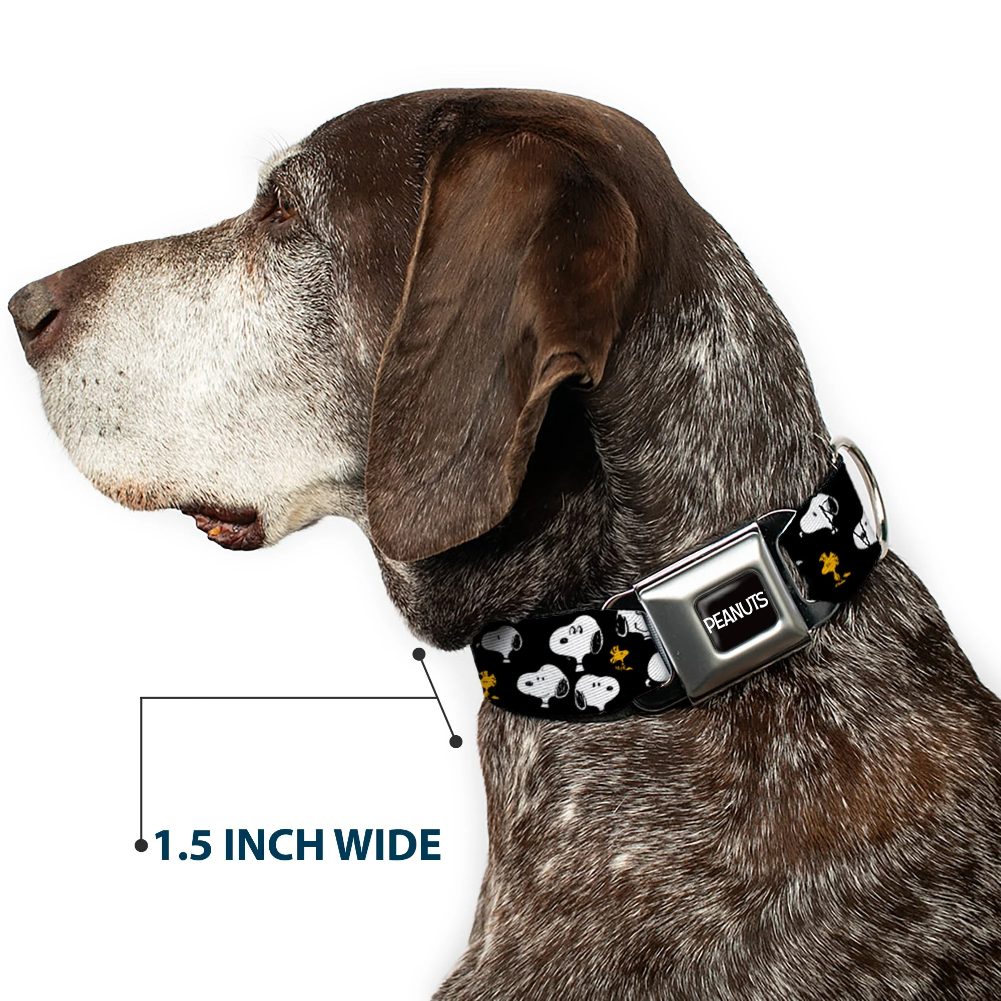 PEANUTS Title Logo Full Color Black/White Seatbelt Buckle Collar - Peanuts Snoopy and Woodstock Poses Scattered Black - Image 7
