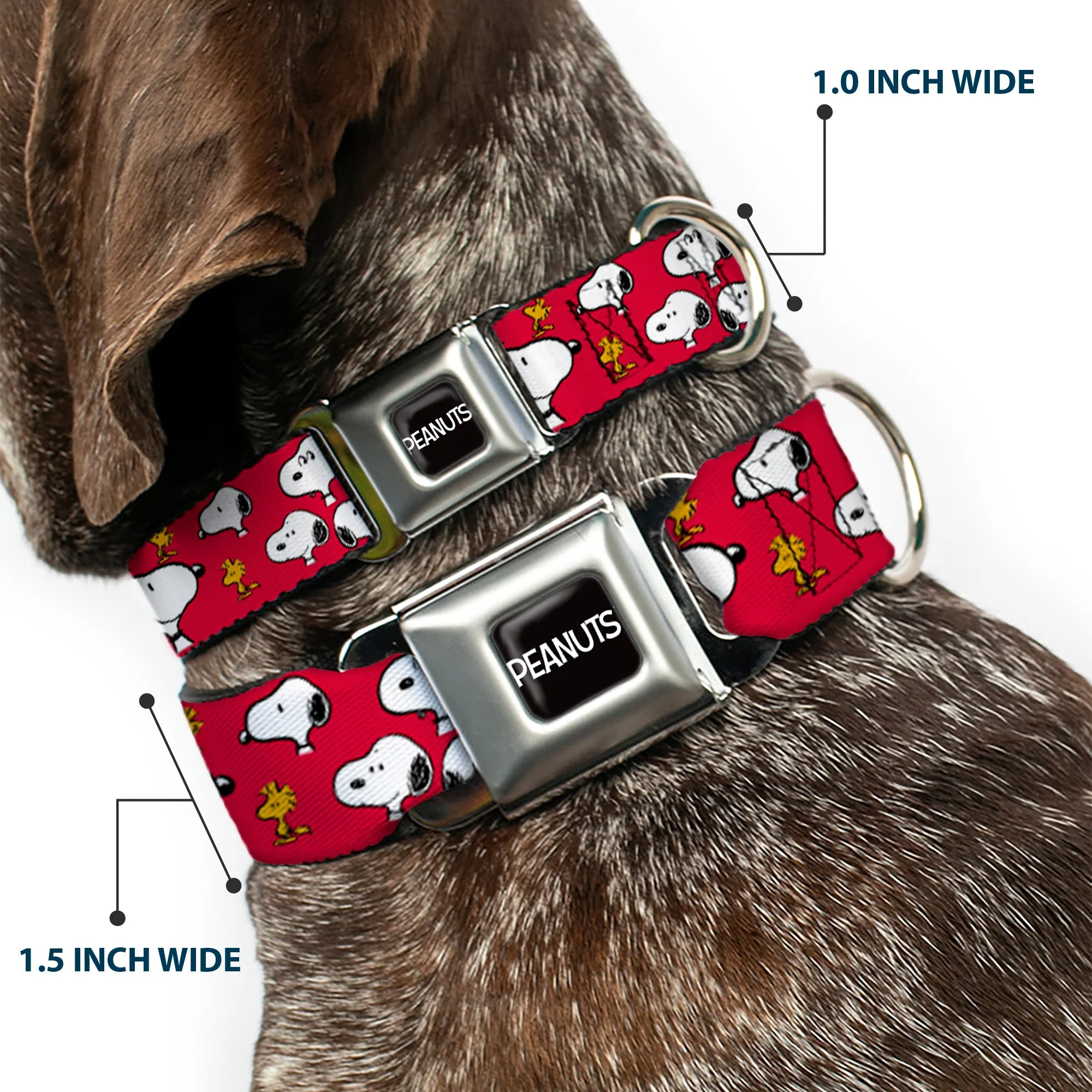 PEANUTS Title Logo Full Color Black/White Seatbelt Buckle Collar - Peanuts Snoopy and Woodstock Poses Scattered Red - Image 2