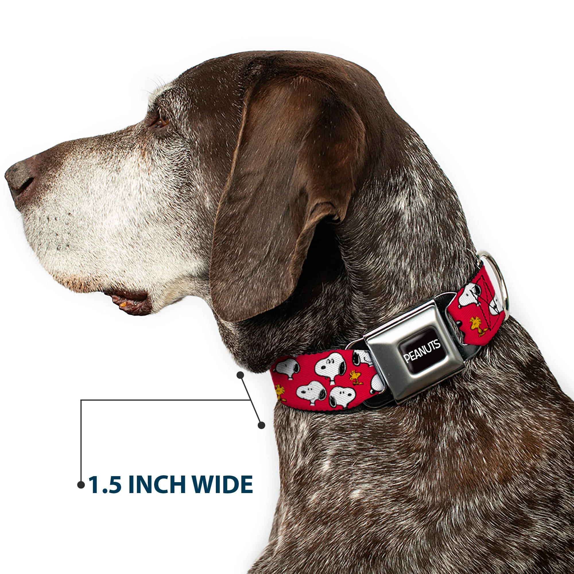 PEANUTS Title Logo Full Color Black/White Seatbelt Buckle Collar - Peanuts Snoopy and Woodstock Poses Scattered Red - Image 7