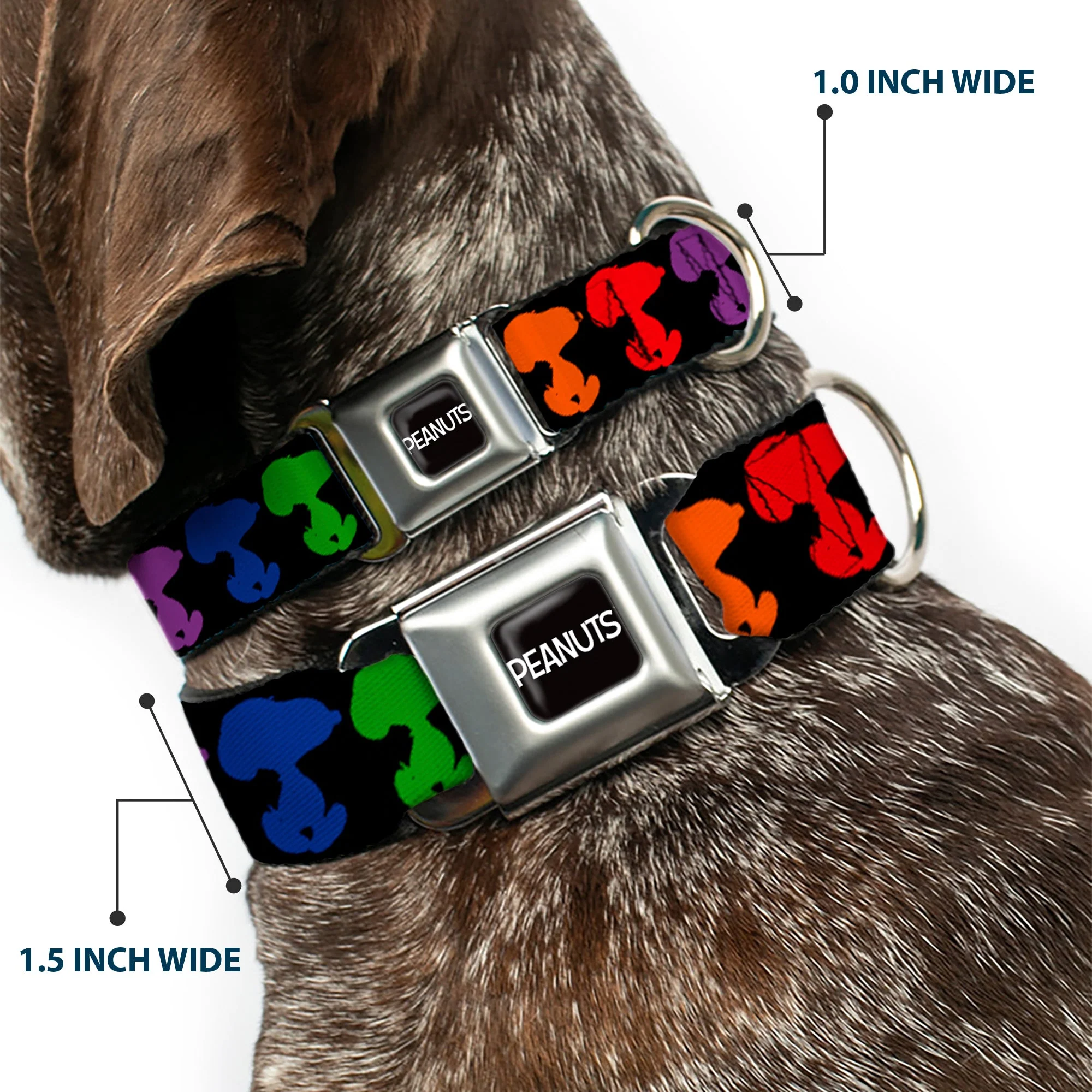 PEANUTS Title Logo Full Color Black/White Seatbelt Buckle Collar - Peanuts Snoopy Silhoutte Pose Black/Rainbow Multi Color - Image 2