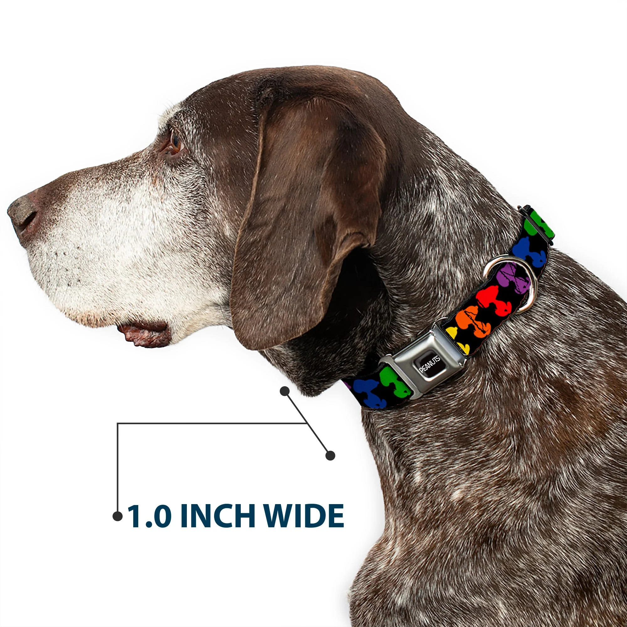 PEANUTS Title Logo Full Color Black/White Seatbelt Buckle Collar - Peanuts Snoopy Silhoutte Pose Black/Rainbow Multi Color - Image 6