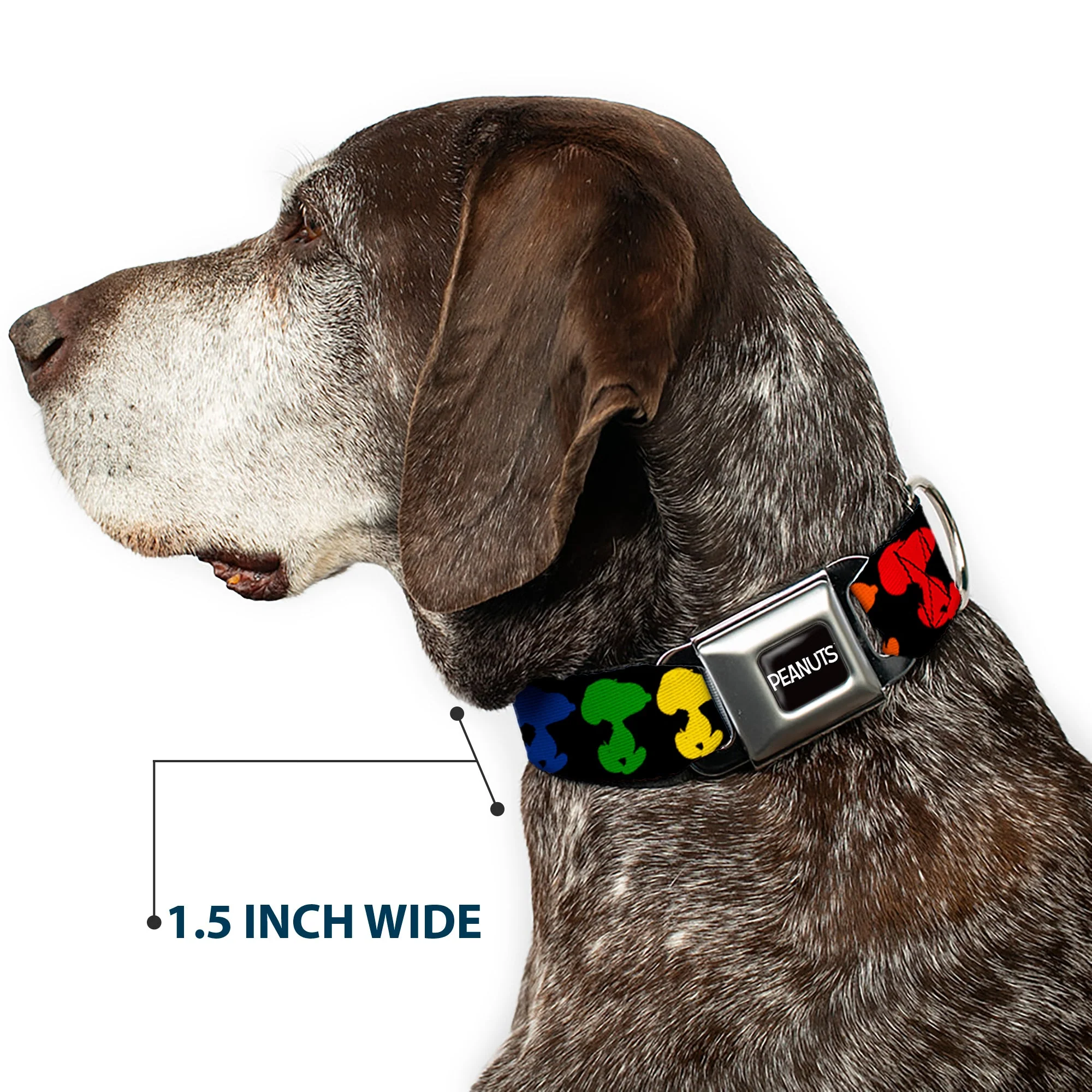 PEANUTS Title Logo Full Color Black/White Seatbelt Buckle Collar - Peanuts Snoopy Silhoutte Pose Black/Rainbow Multi Color - Image 7