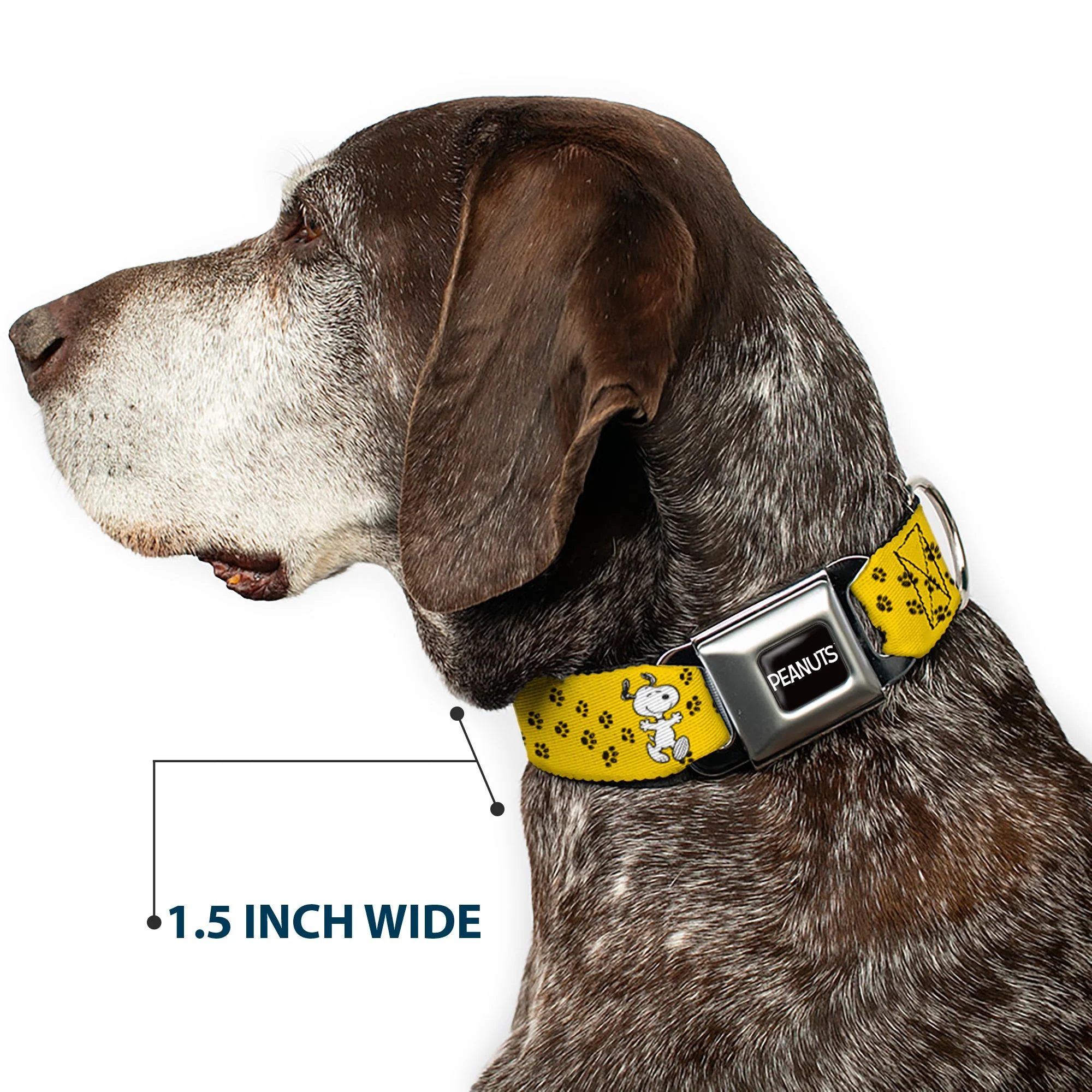 PEANUTS Title Logo Full Color Black/White Seatbelt Buckle Collar - Peanuts Snoopy Smiling Pose/Paw Print Yellow/Black/White - Image 7