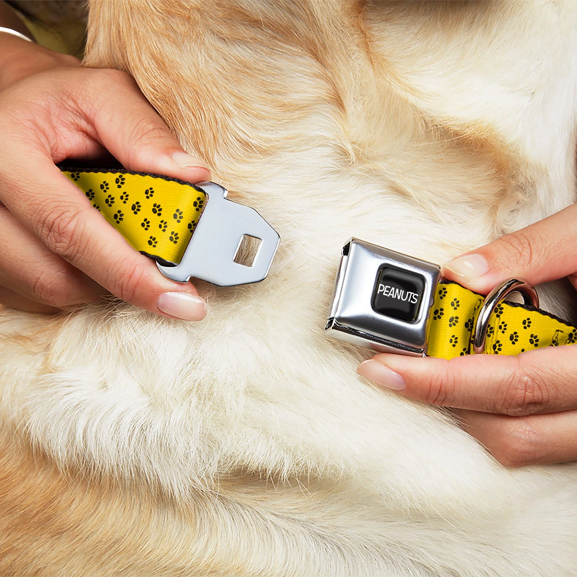 PEANUTS Title Logo Full Color Black/White Seatbelt Buckle Collar - Peanuts Snoopy Smiling Pose/Paw Print Yellow/Black/White - Image 8
