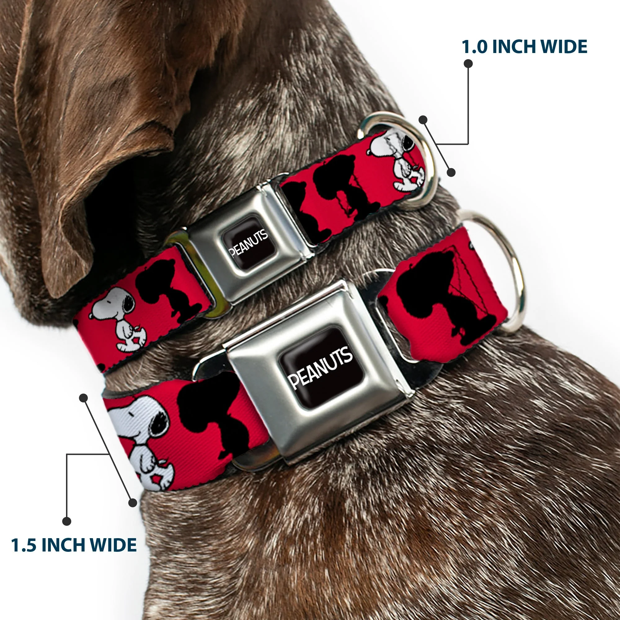 PEANUTS Title Logo Full Color Black/White Seatbelt Buckle Collar - Peanuts Snoopy Walking/Silhouette Pose Red/Black/White - Image 2