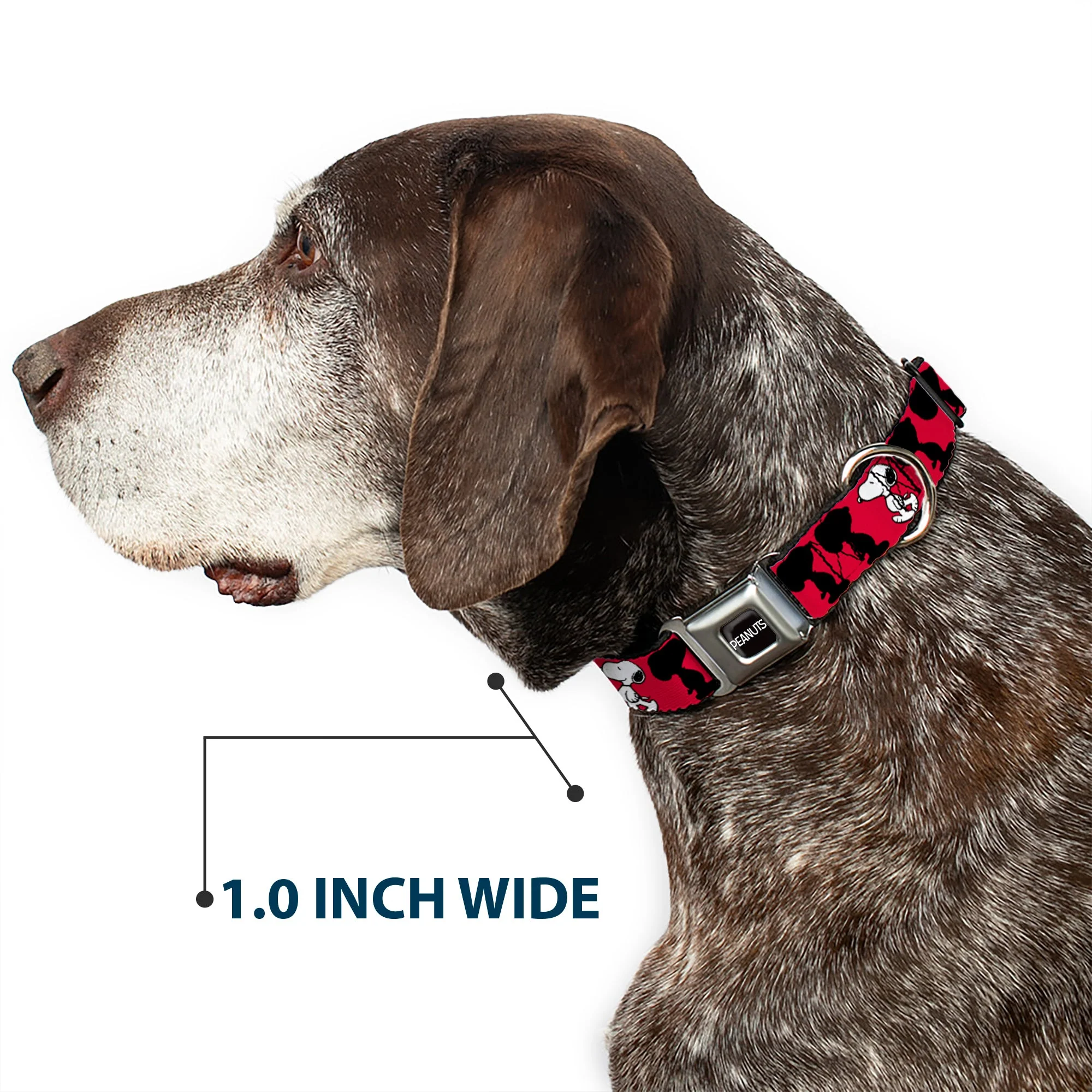 PEANUTS Title Logo Full Color Black/White Seatbelt Buckle Collar - Peanuts Snoopy Walking/Silhouette Pose Red/Black/White - Image 6