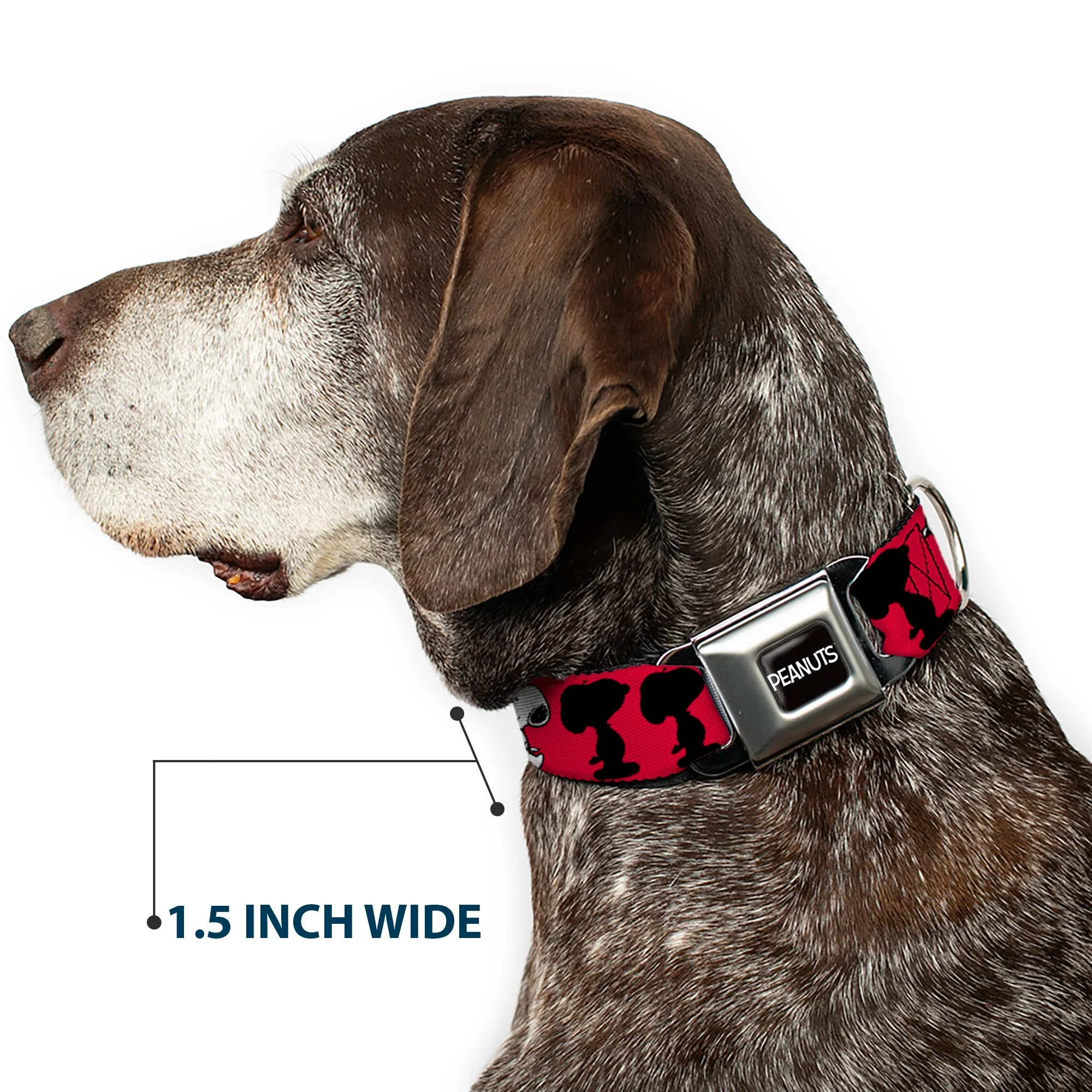 PEANUTS Title Logo Full Color Black/White Seatbelt Buckle Collar - Peanuts Snoopy Walking/Silhouette Pose Red/Black/White - Image 7