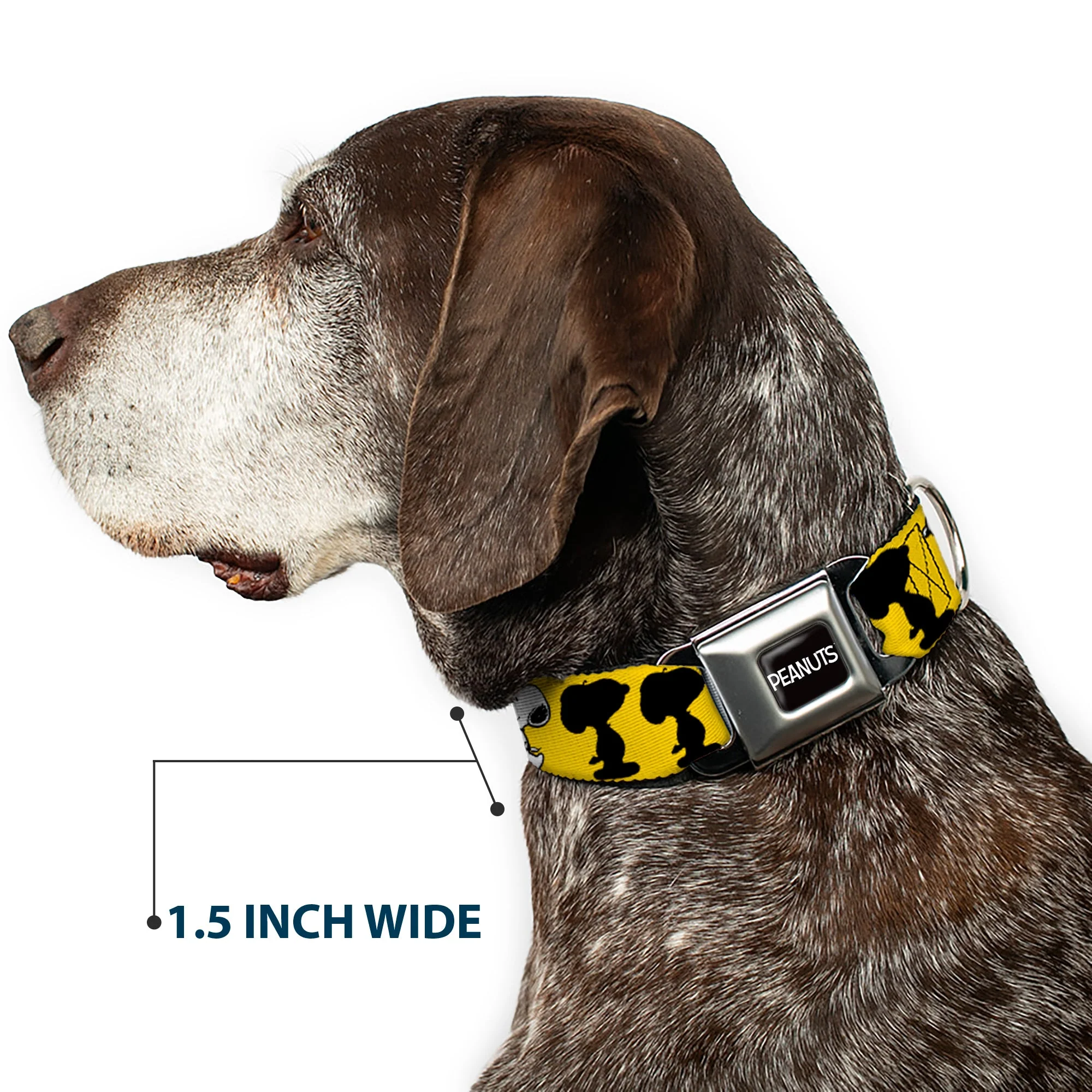 PEANUTS Title Logo Full Color Black/White Seatbelt Buckle Collar - Peanuts Snoopy Walking/Silhouette Pose Yellow/Black/White - Image 7