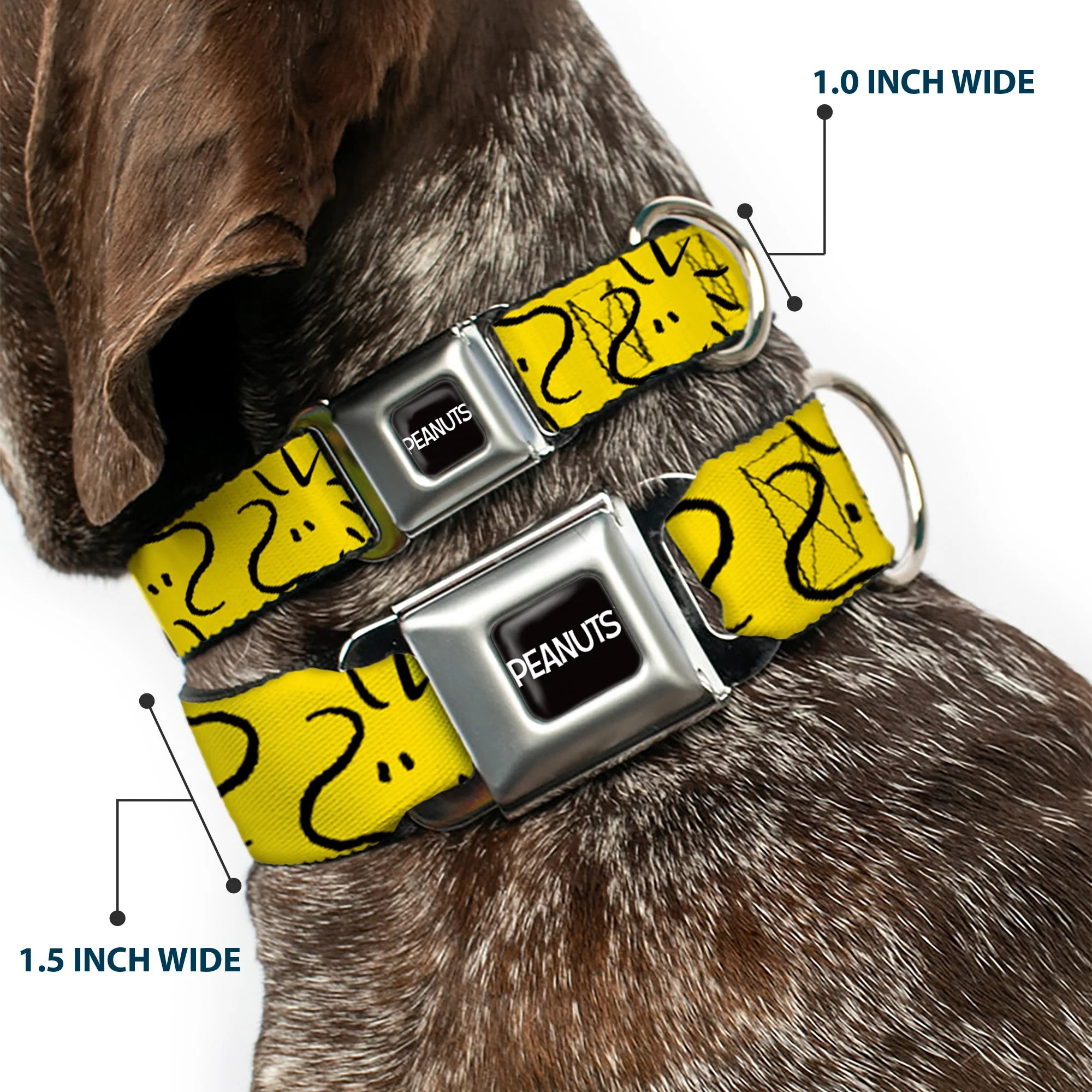 PEANUTS Title Logo Full Color Black/White Seatbelt Buckle Collar - Peanuts Woodstock Line Face Line Art Yellow/Black - Image 2