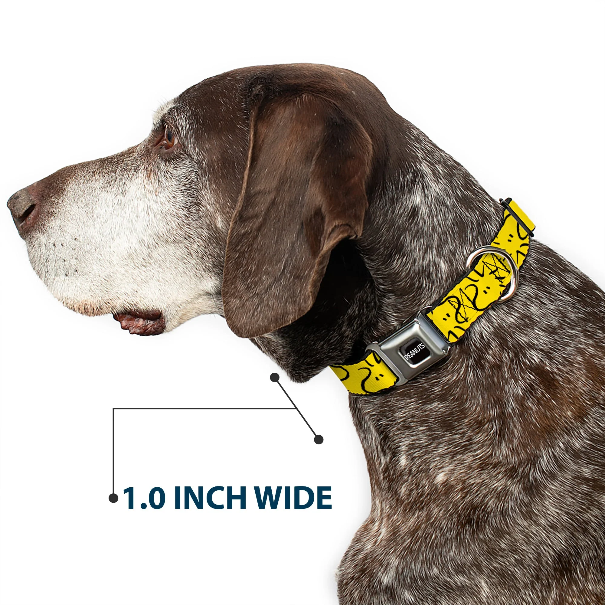 PEANUTS Title Logo Full Color Black/White Seatbelt Buckle Collar - Peanuts Woodstock Line Face Line Art Yellow/Black - Image 6