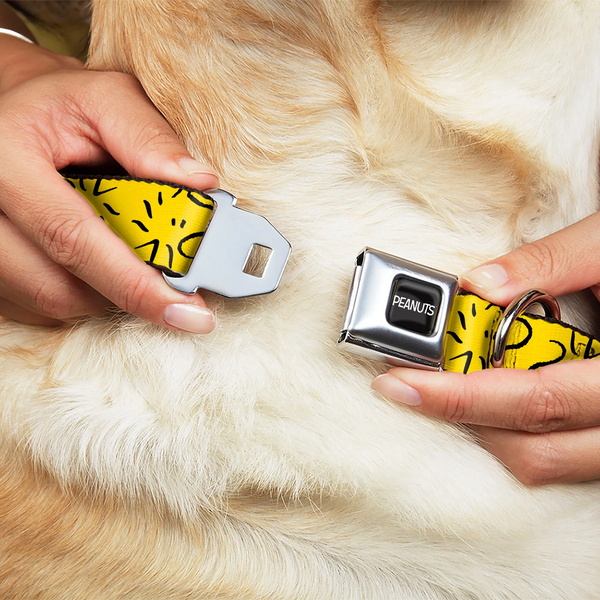 PEANUTS Title Logo Full Color Black/White Seatbelt Buckle Collar - Peanuts Woodstock Line Face Line Art Yellow/Black - Image 8