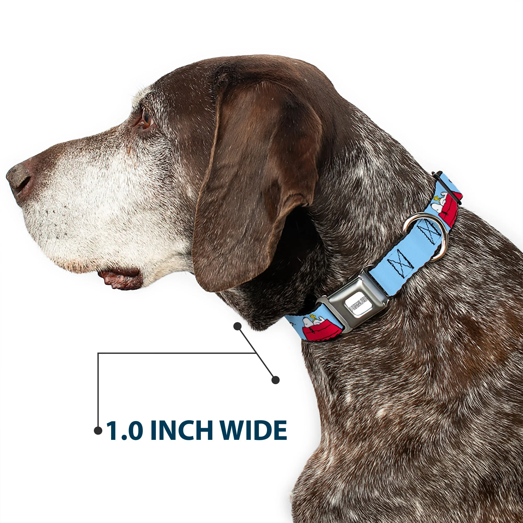 PEANUTS Title Logo Full Color Gray/White Seatbelt Buckle Collar - Peanuts Snoopy and Woodstock Dog House Pose and Text Sky Blue - Image 6