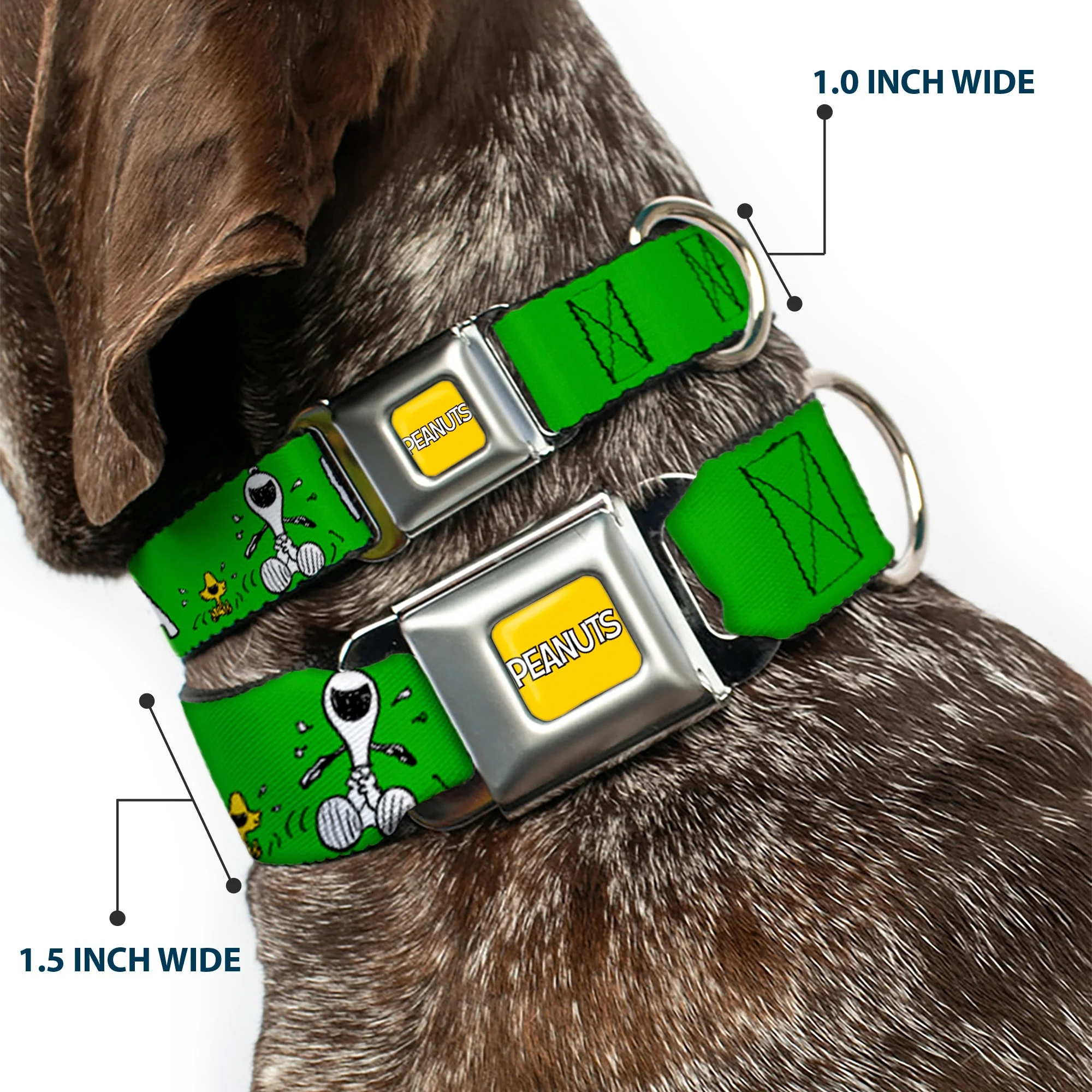 PEANUTS Title Logo Full Color Yellow/White Seatbelt Buckle Collar - Peanuts Snoopy and Woodstock Laughing HAHA Pose Green - Image 2