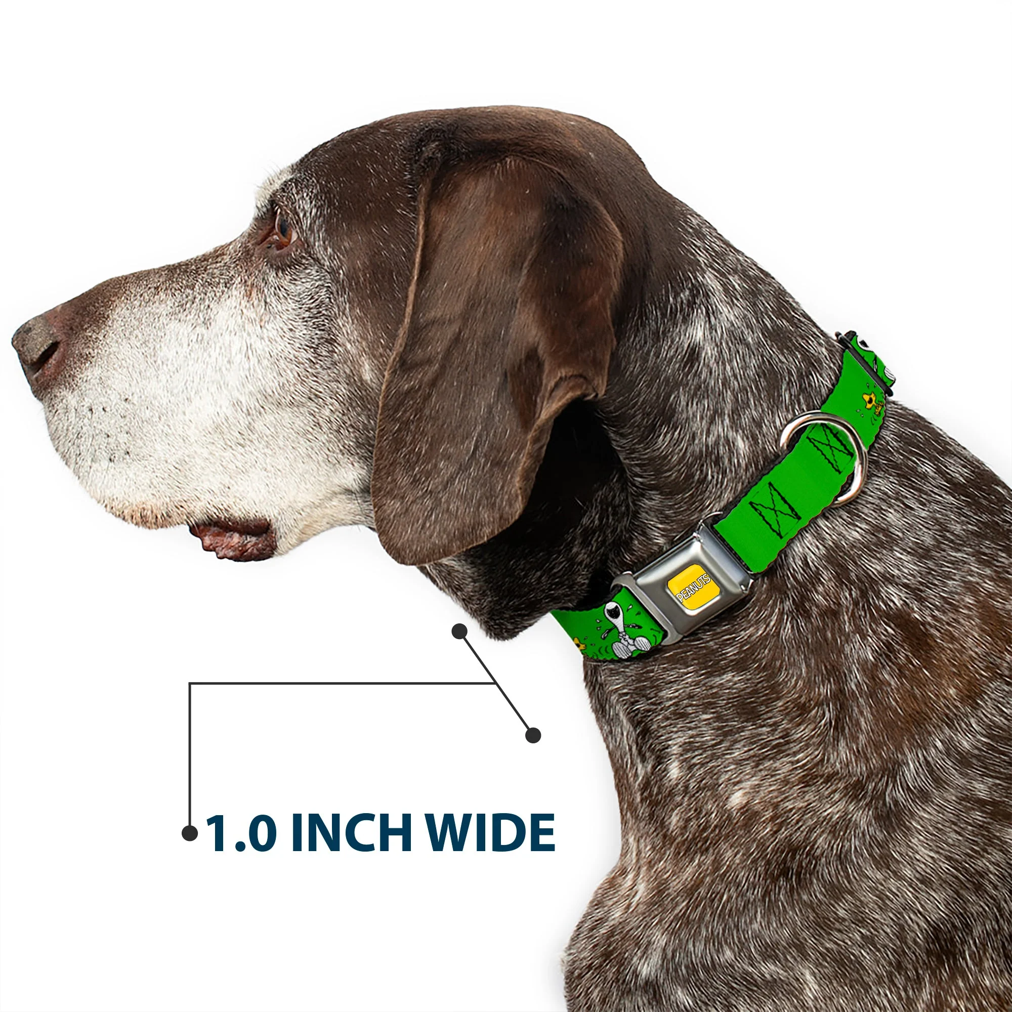 PEANUTS Title Logo Full Color Yellow/White Seatbelt Buckle Collar - Peanuts Snoopy and Woodstock Laughing HAHA Pose Green - Image 6