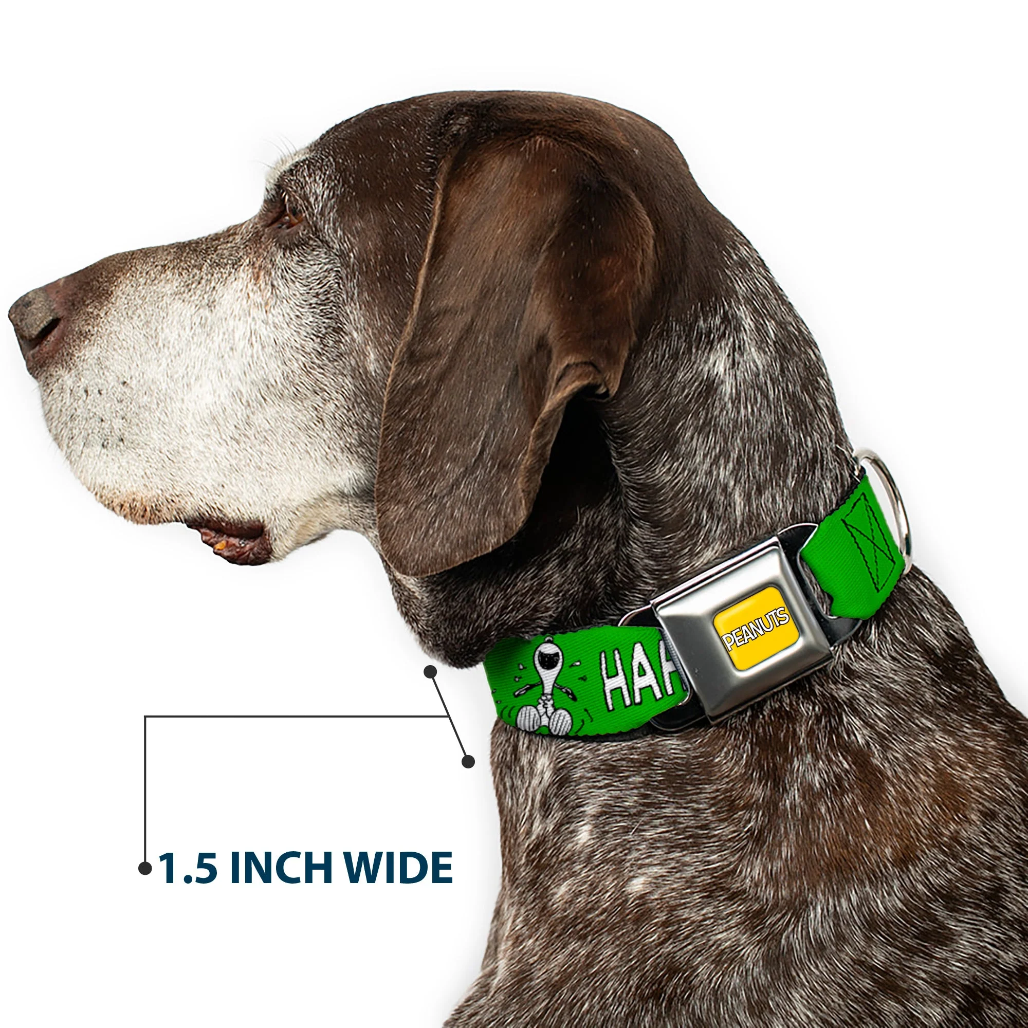 PEANUTS Title Logo Full Color Yellow/White Seatbelt Buckle Collar - Peanuts Snoopy and Woodstock Laughing HAHA Pose Green - Image 7
